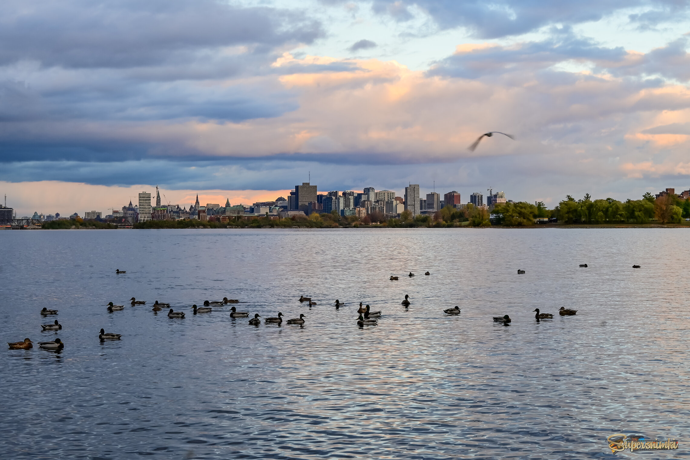 Хоровод на ночь