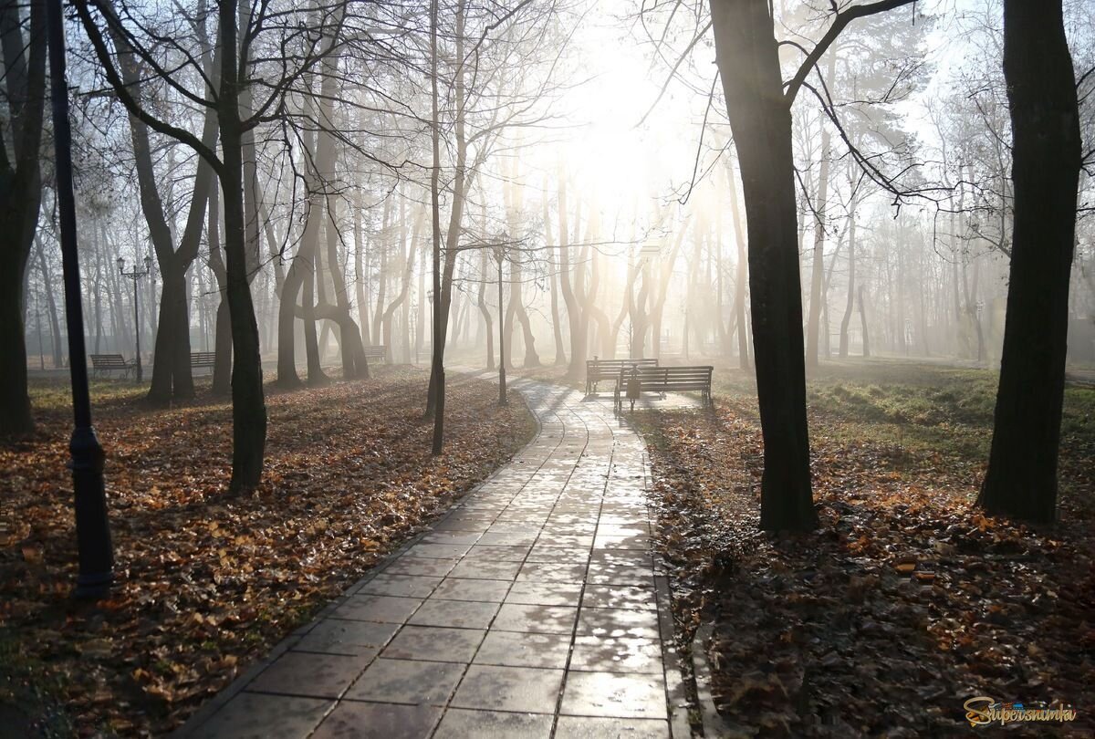 Осенний сон