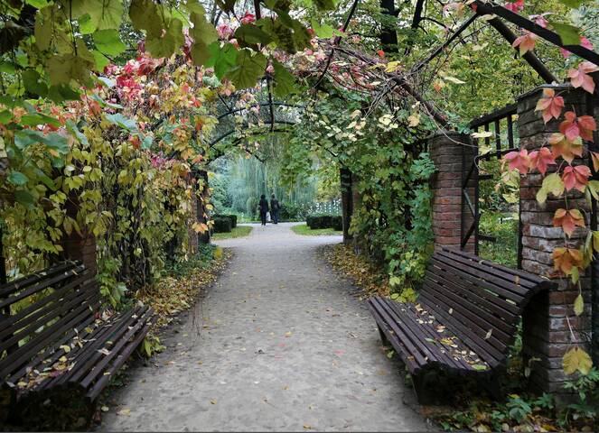 Осенняя красота, Пергола