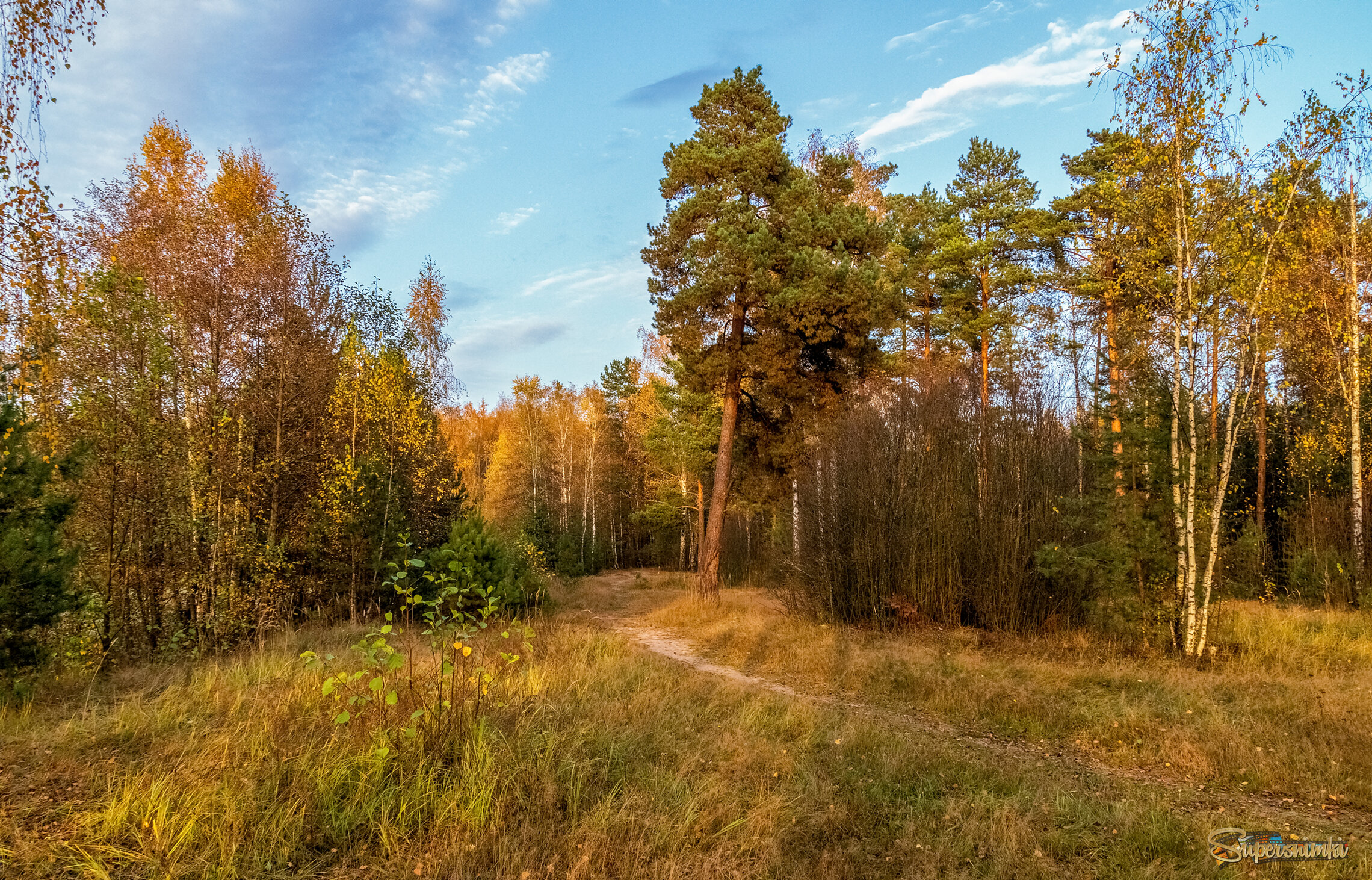 Осень достала краски 7 