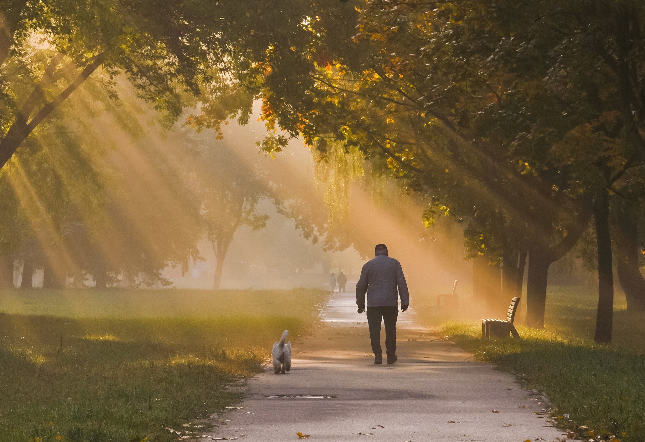 В осеннем парке