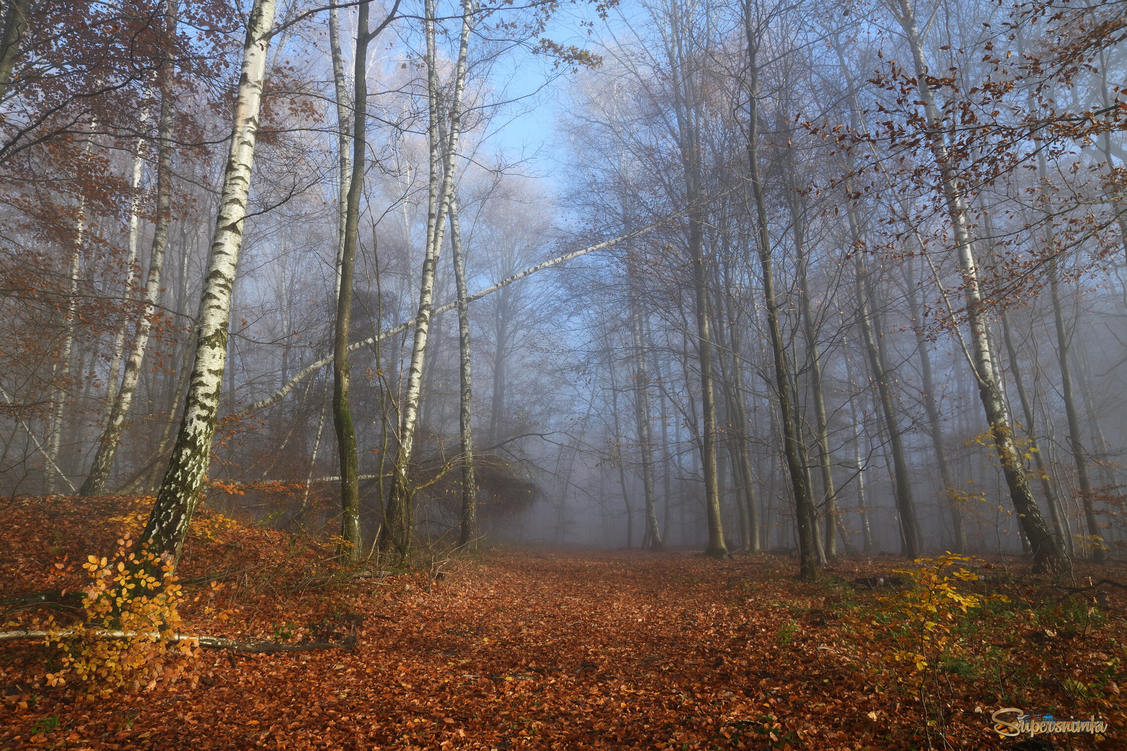 68fc0287777f64a464594932