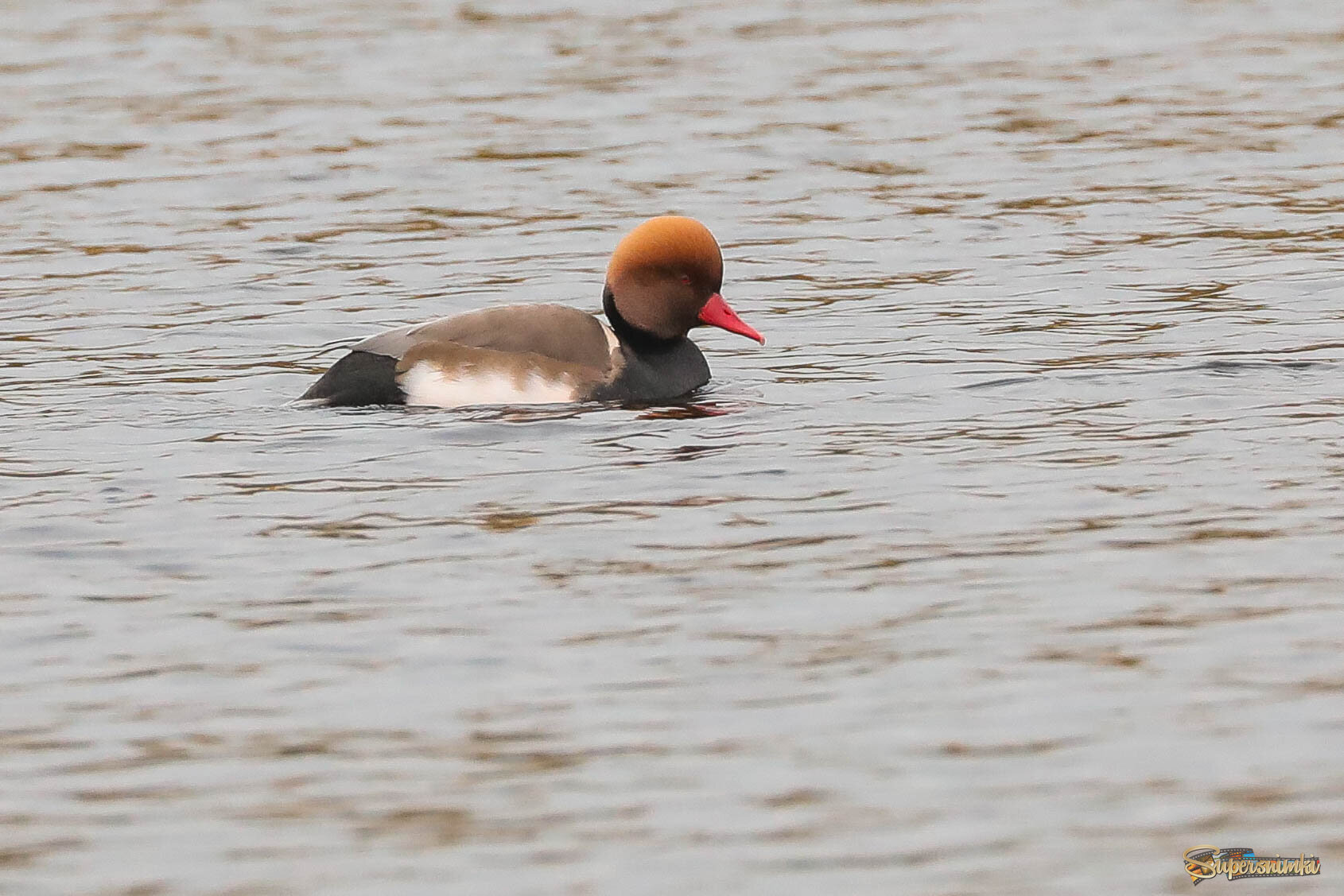 Уютно сижу!