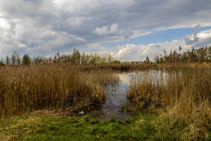У озера