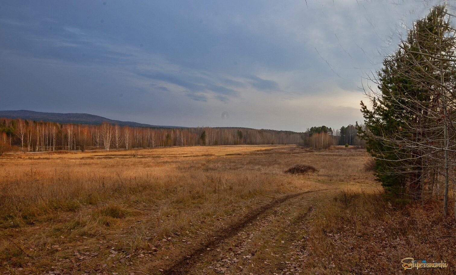 Русское поле...