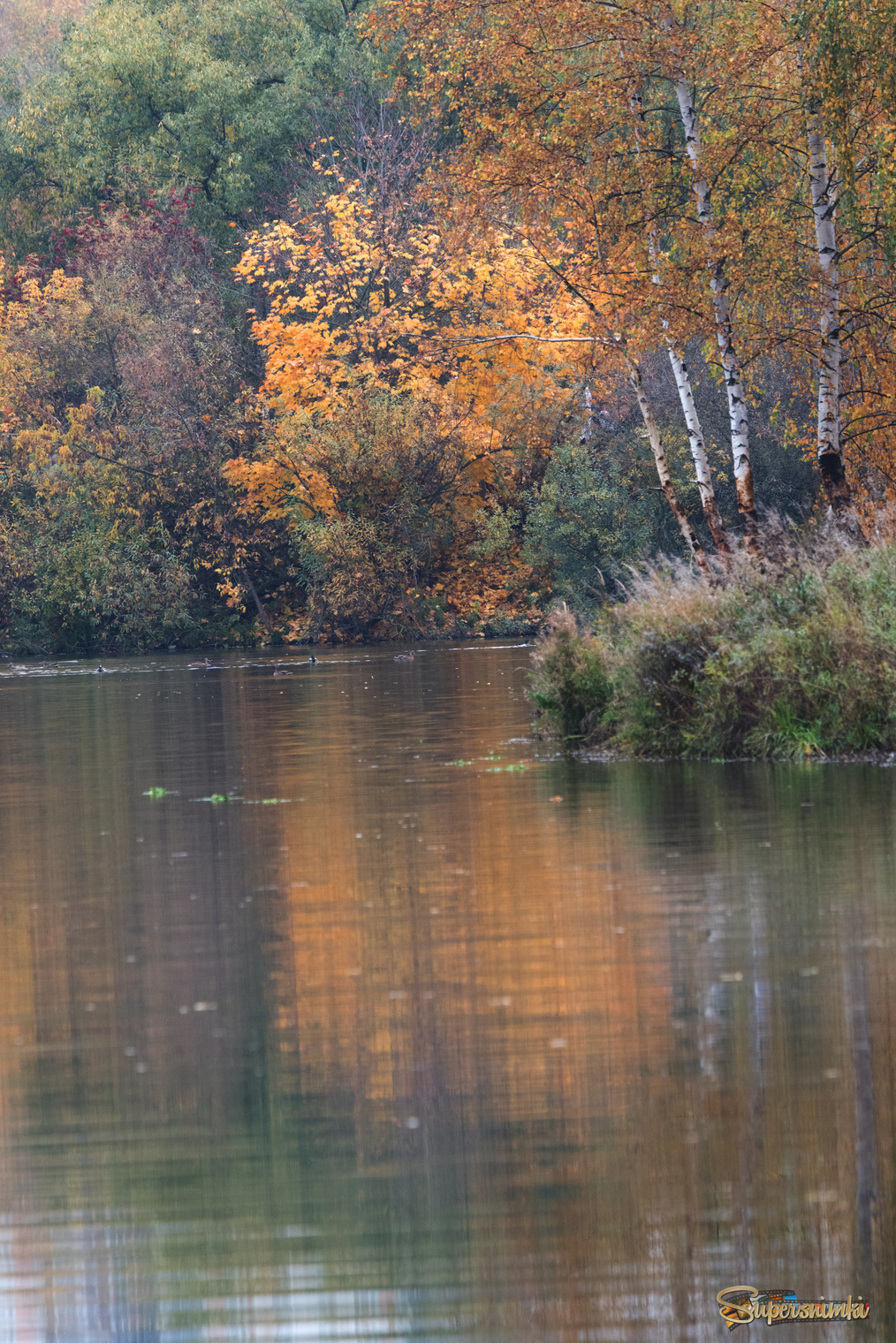 Красивая осень.
