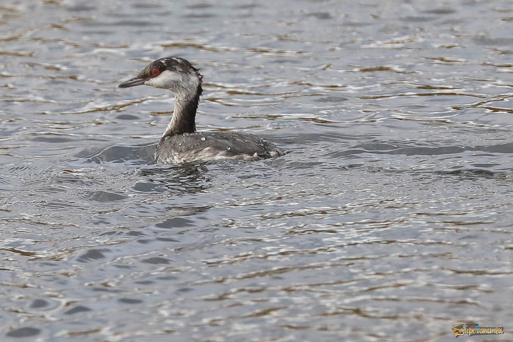 Подальше от берега!