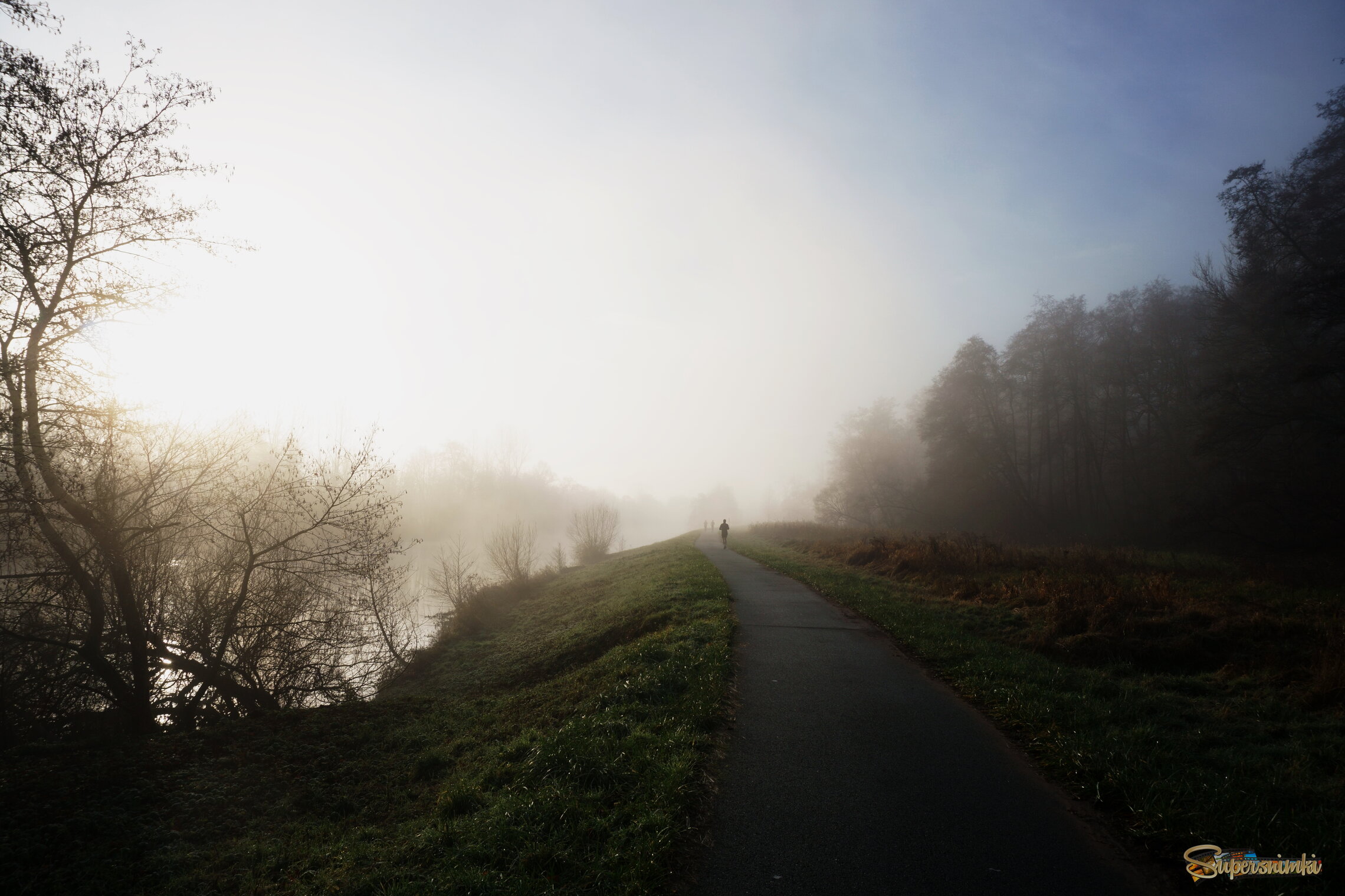 68fd49e3afd383e137594936