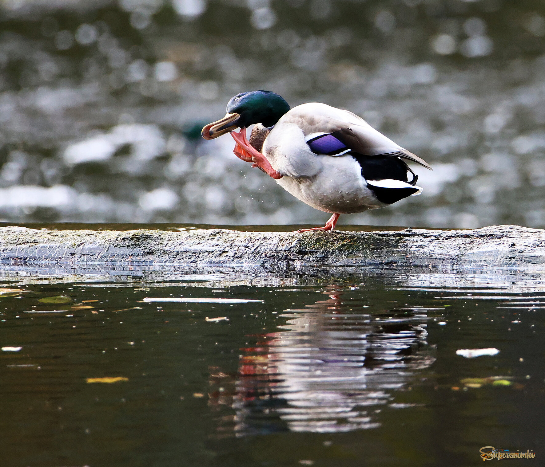 Надо подумать.