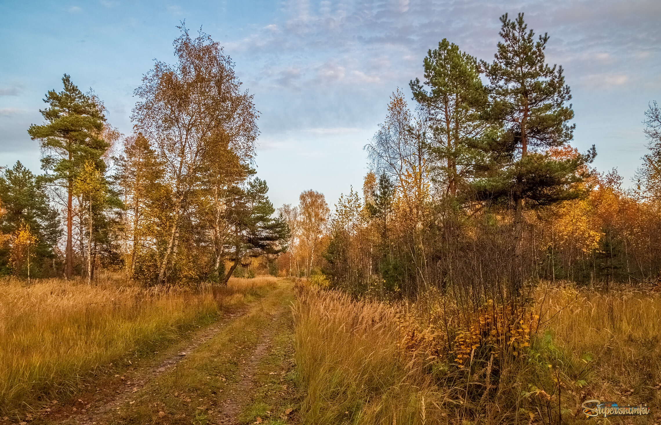 Осенний вечер 11 