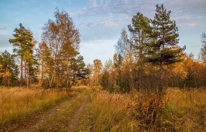 Осенний вечер 11 
