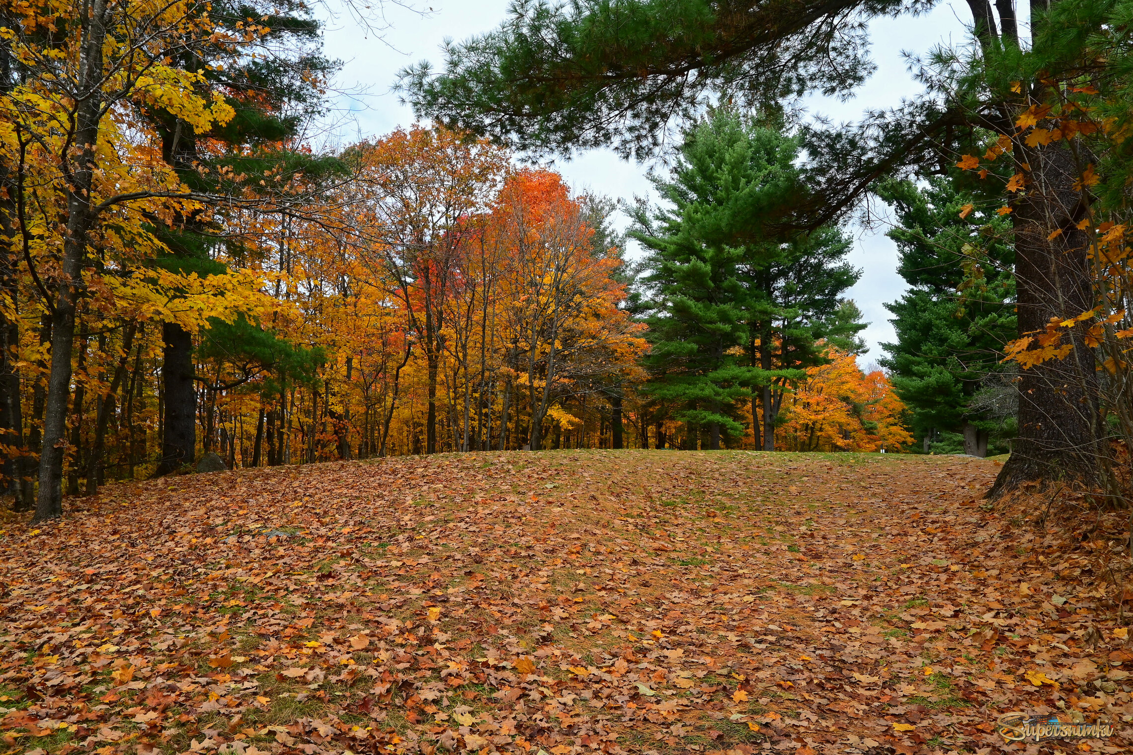 Бегут денёчки