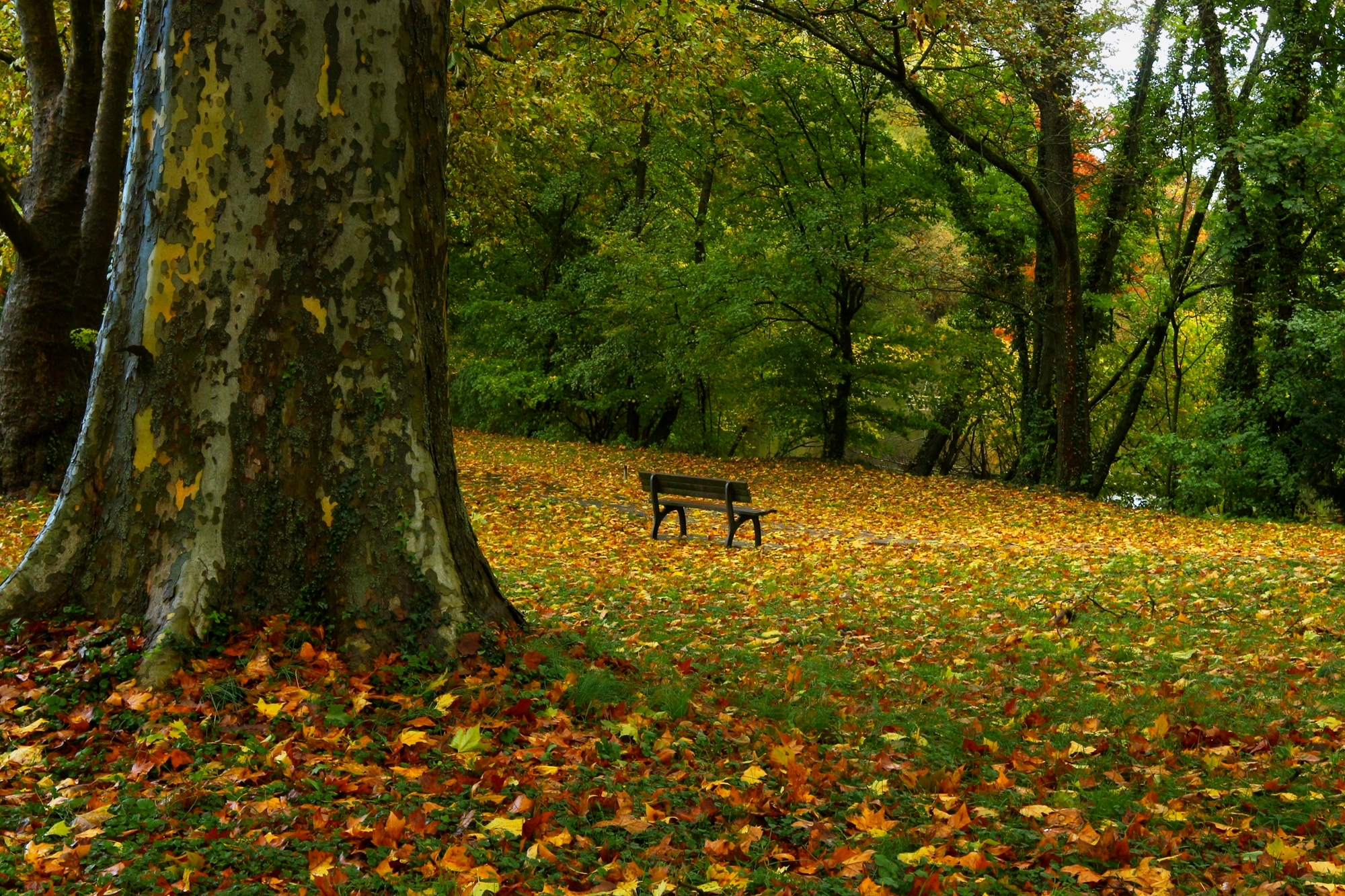  Октябрьские мотивы