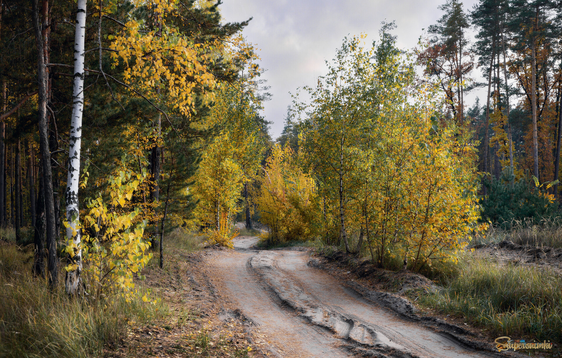 Вечер в осеннем лесу