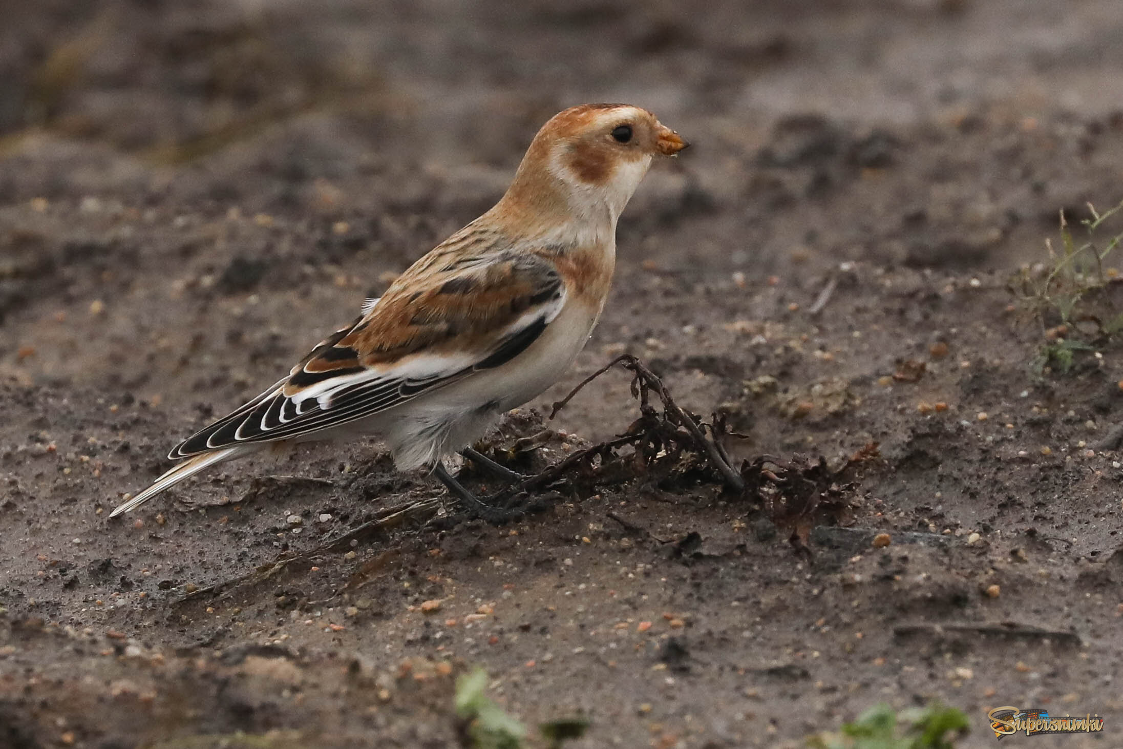 Скоро зима!