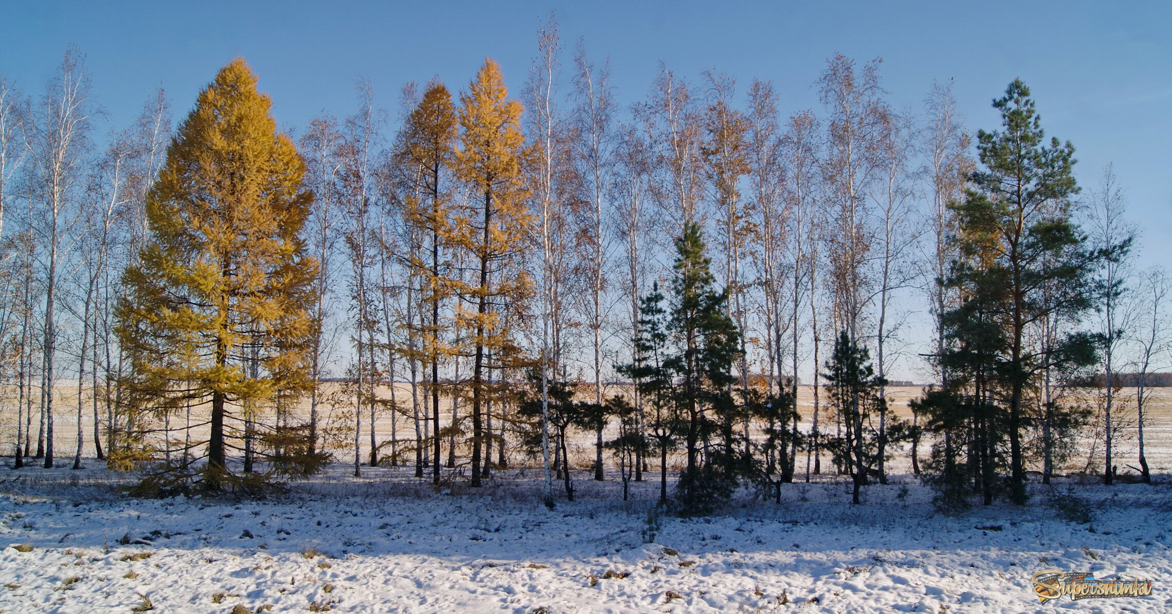 И в октябре бывает зима.