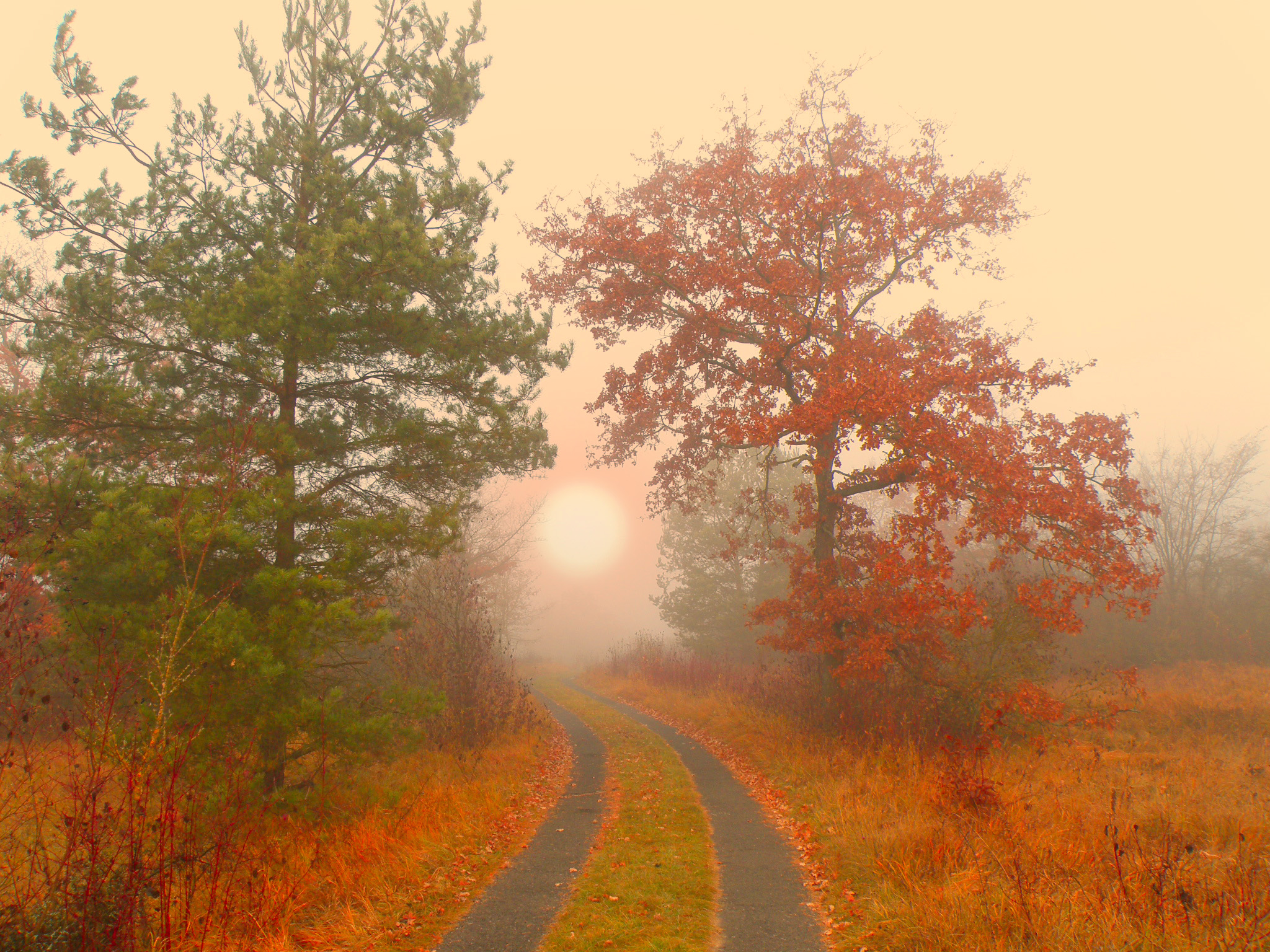 Дорога к солнцу.