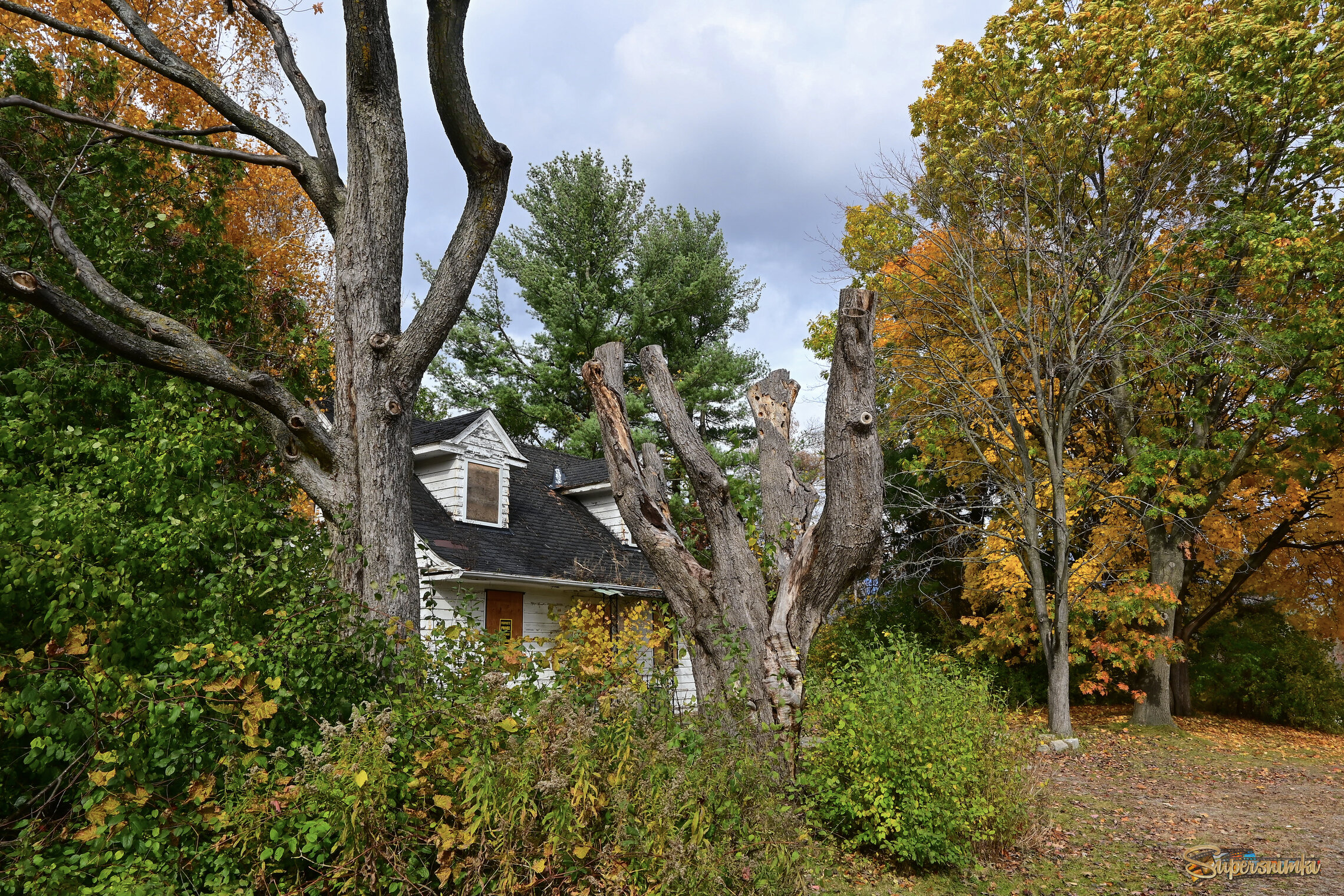 Уголок забвения