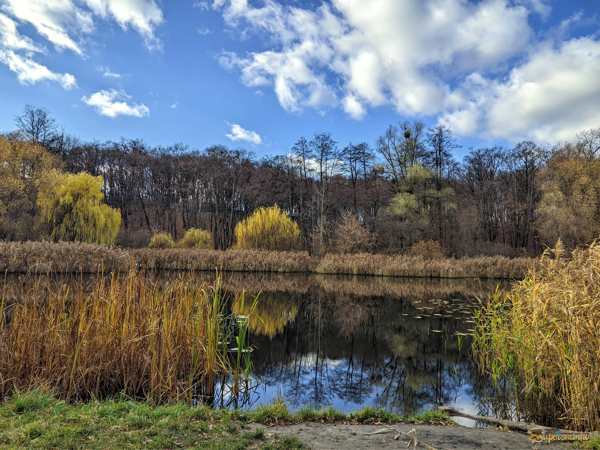 На природе,..