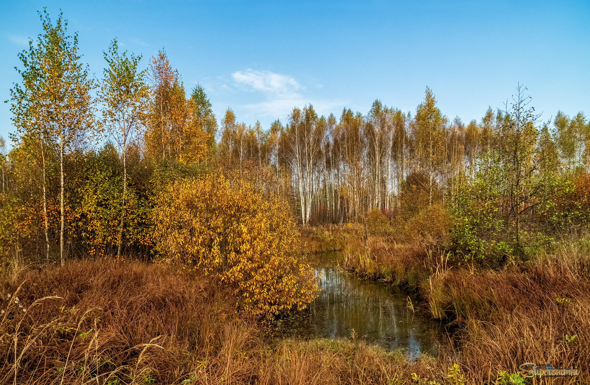 Осеннее утро 5 