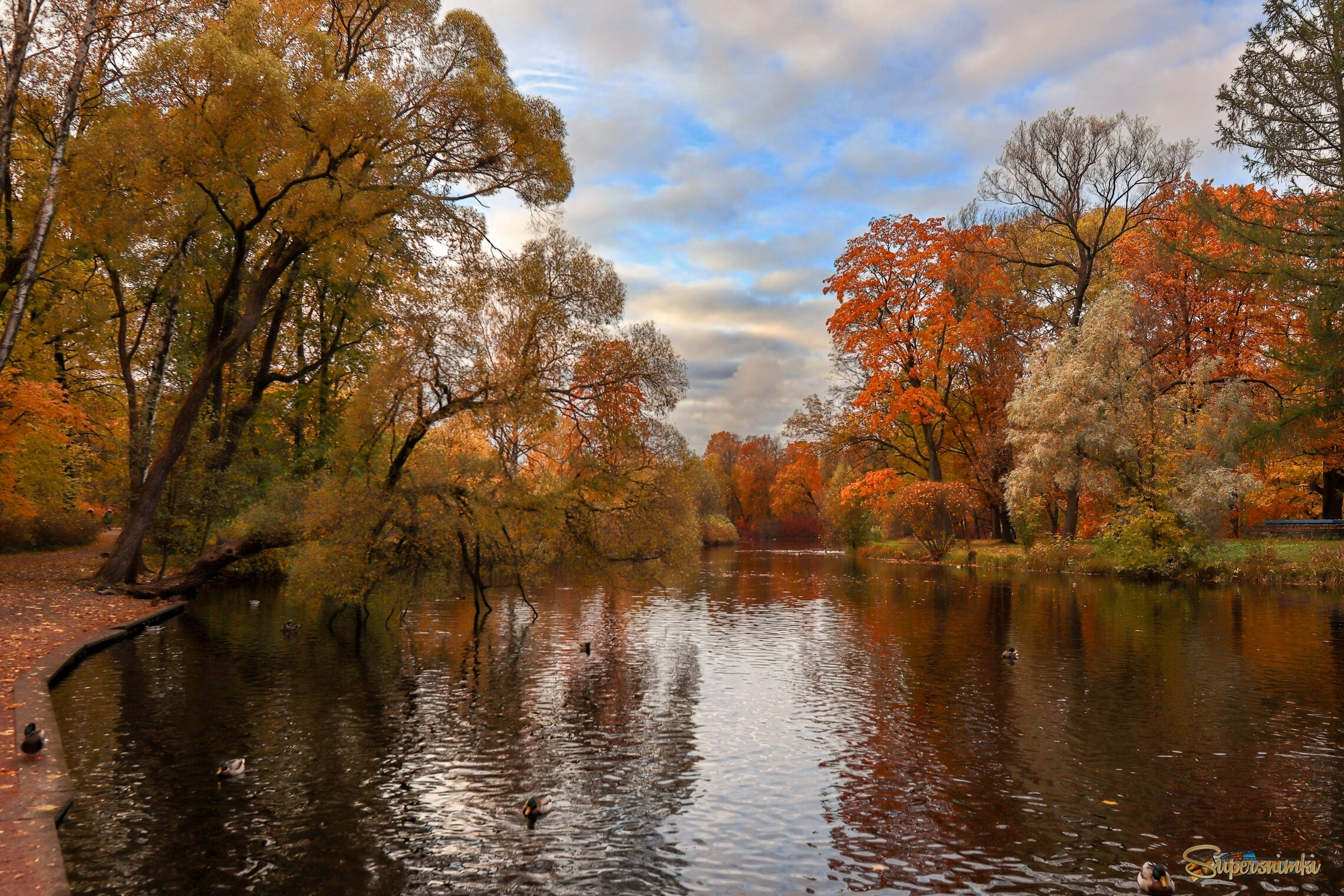 Немного осени