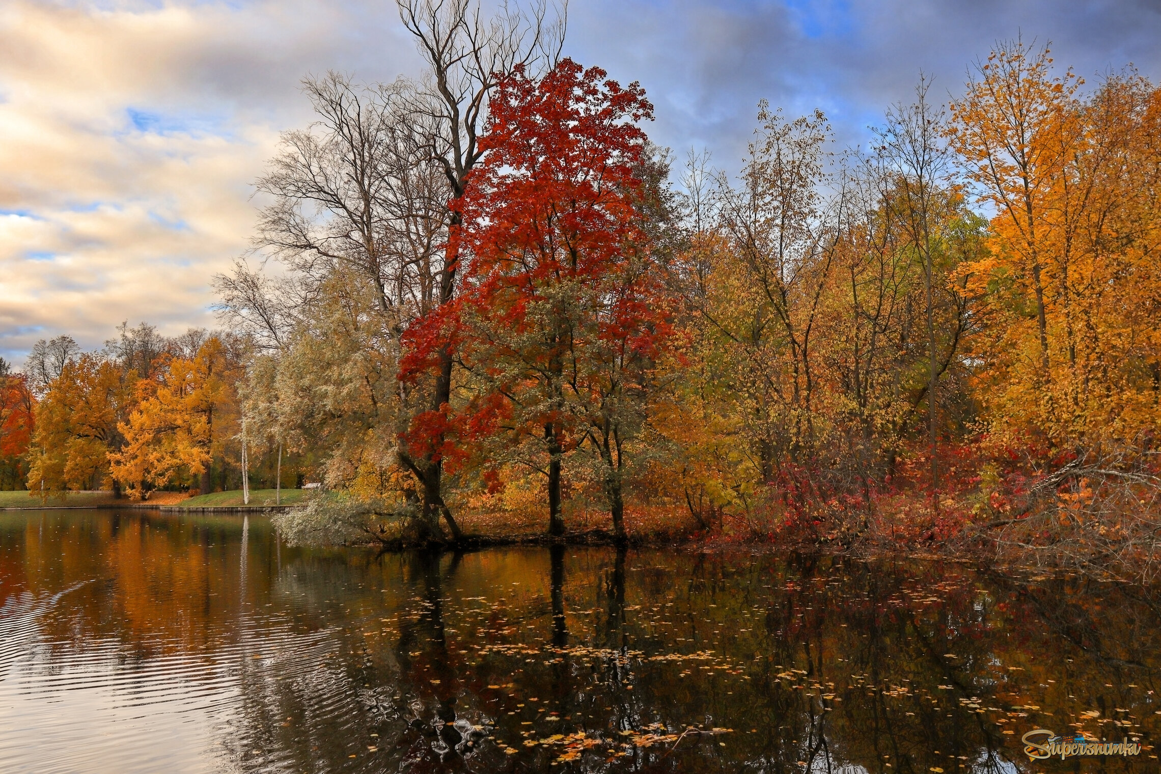 Немного осени, но уже без птичек