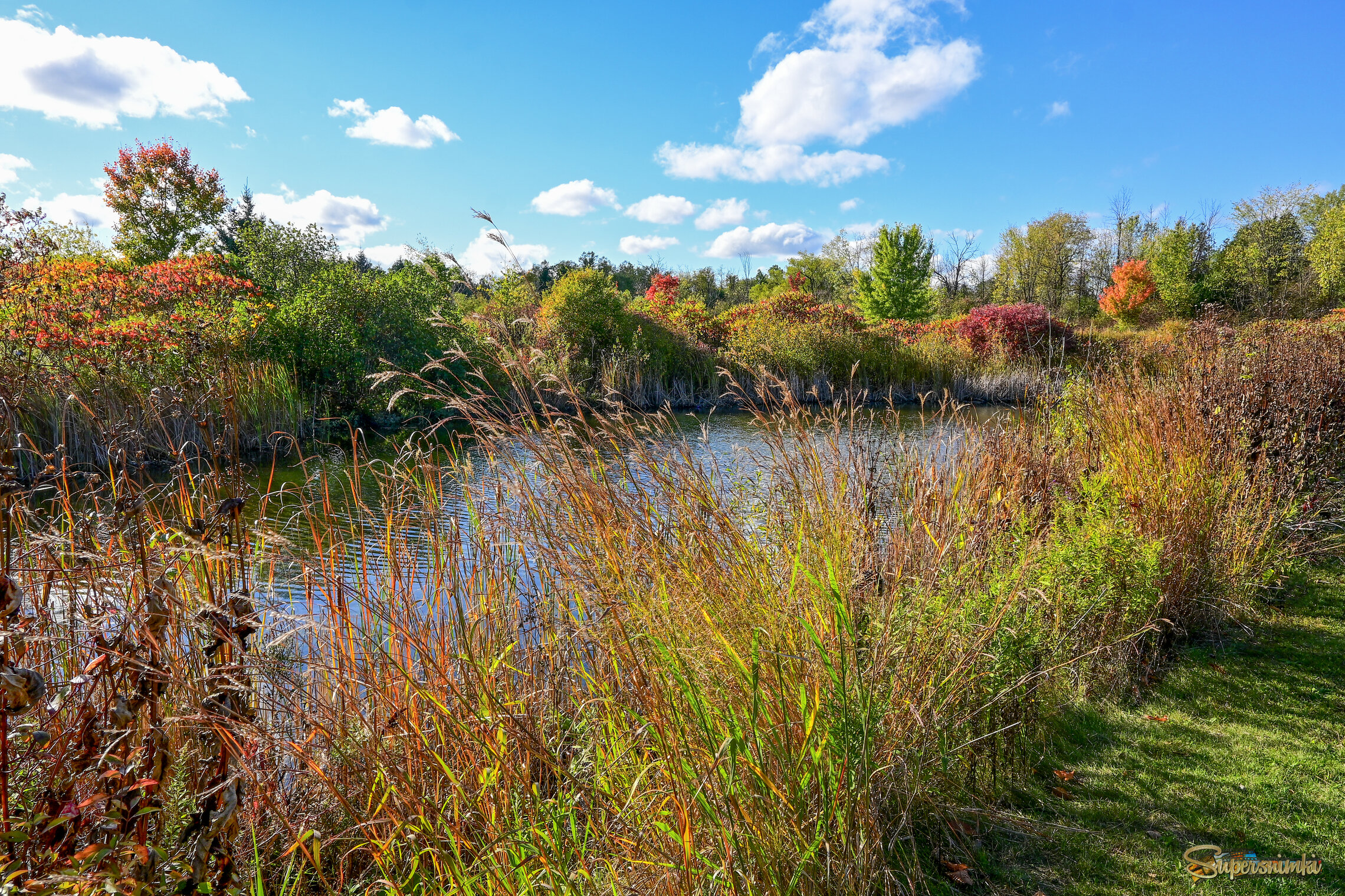 Пышность напоследок