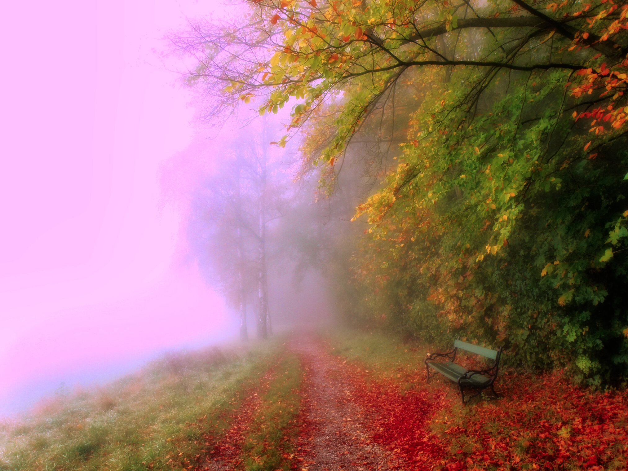 Цветные туманы осени.