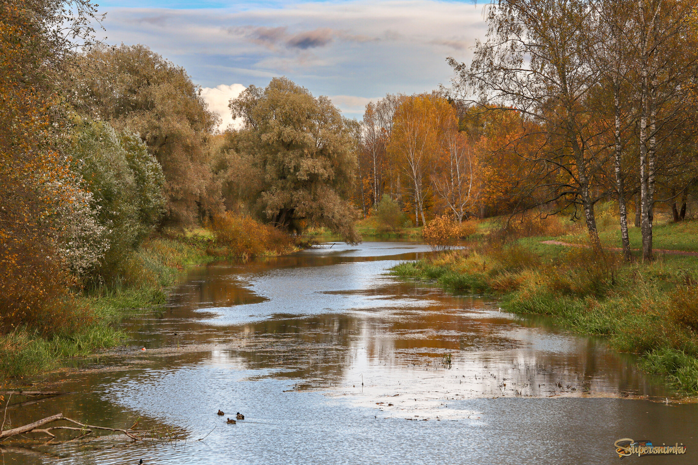 Павловский парк