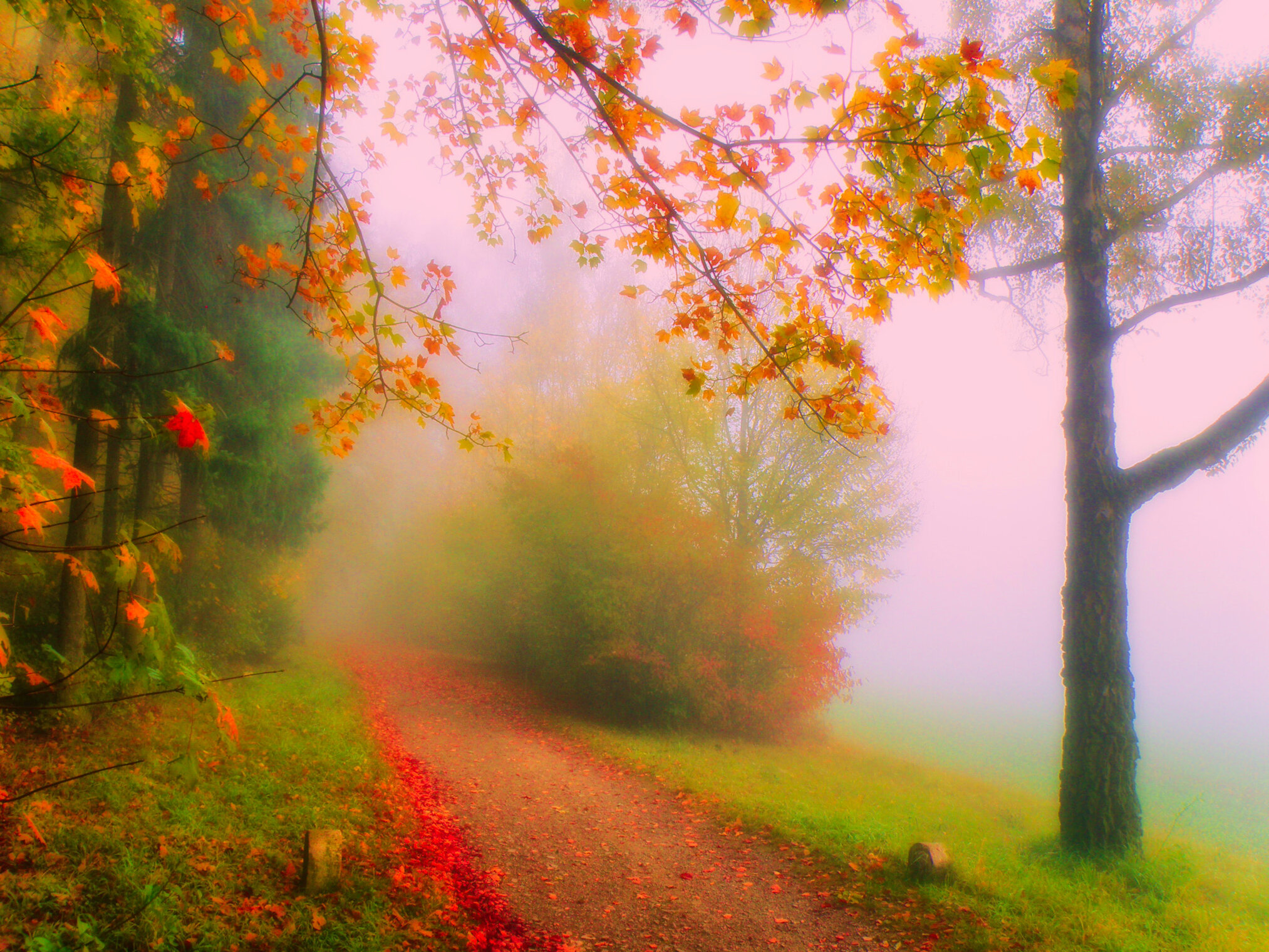 Цветные туманы осени.