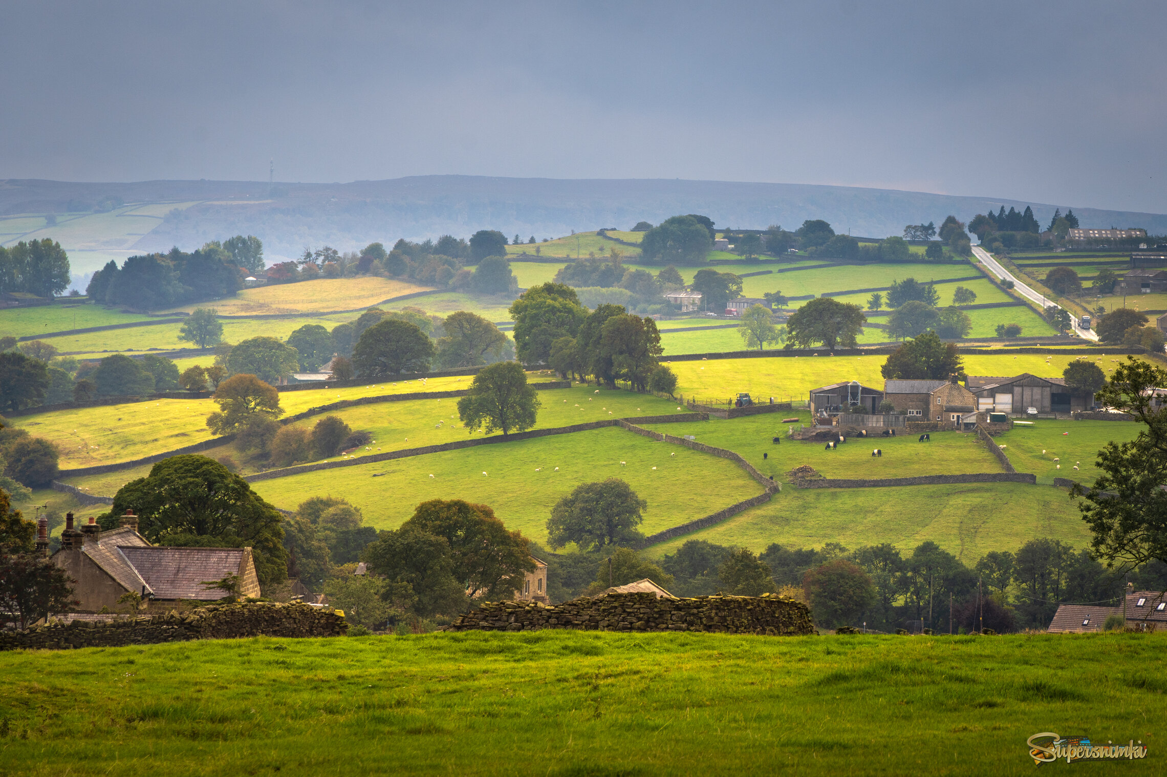 Сельский пейзаж