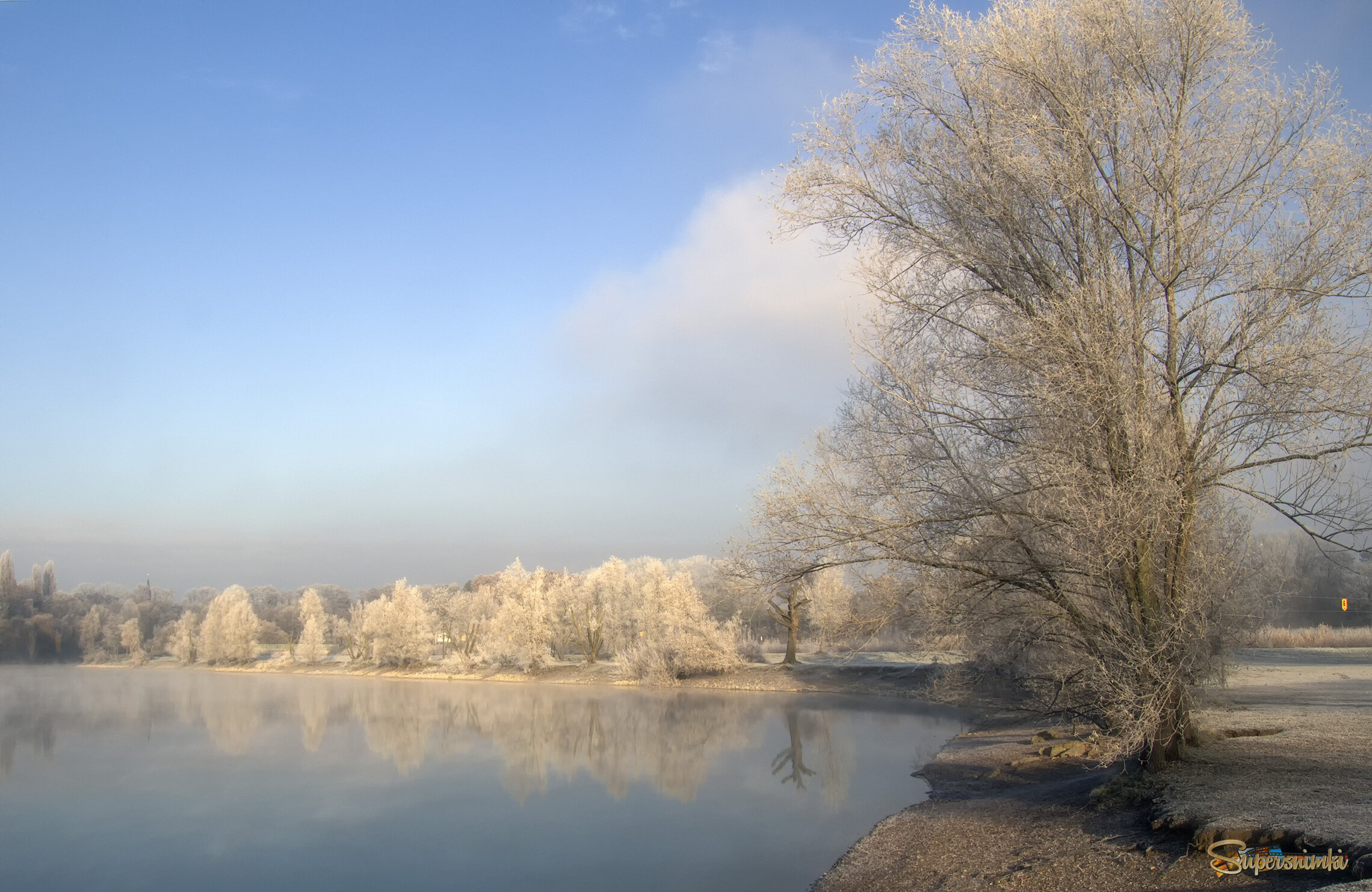 Нежное утро