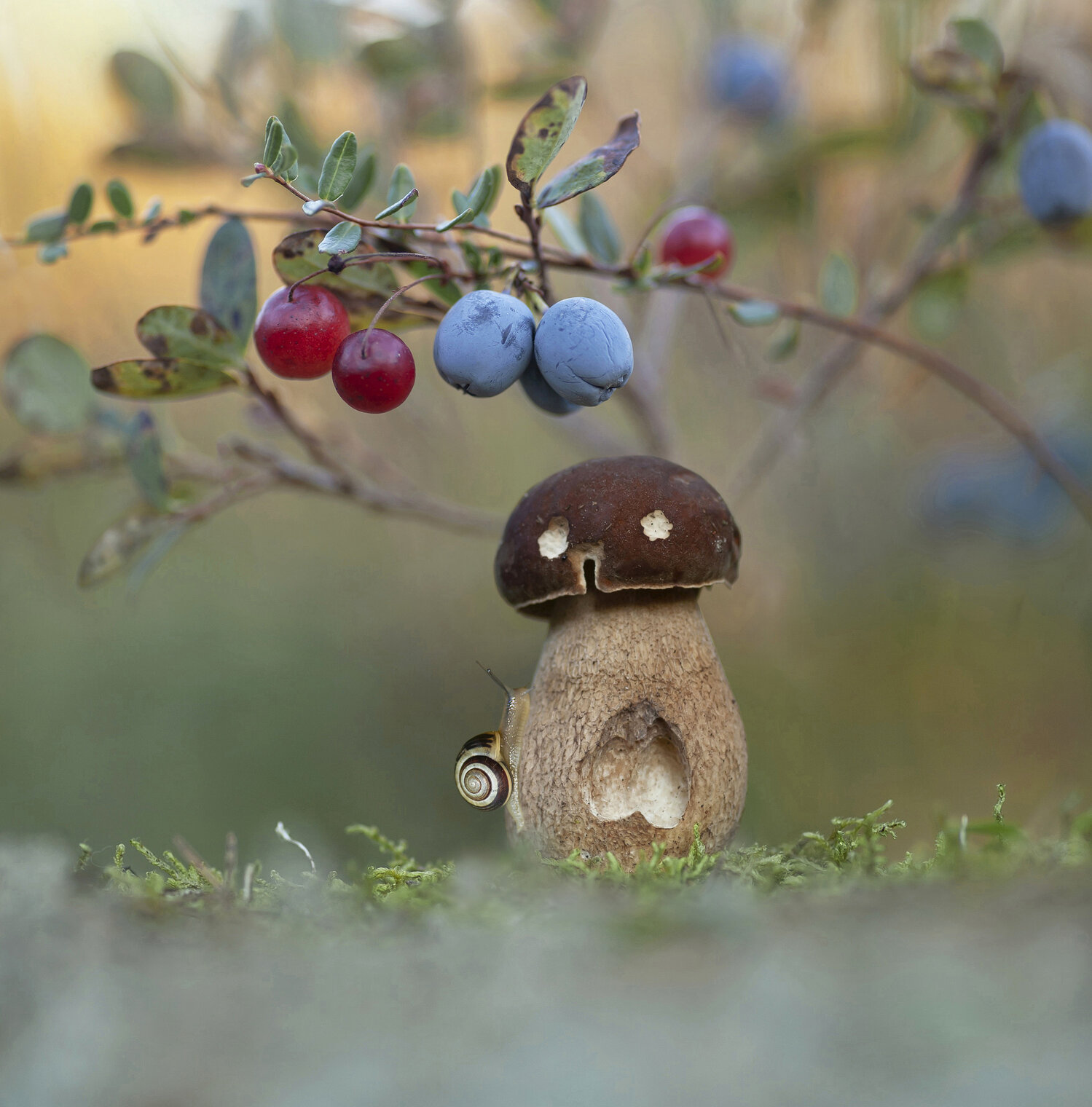 Ах, ты зрячий...