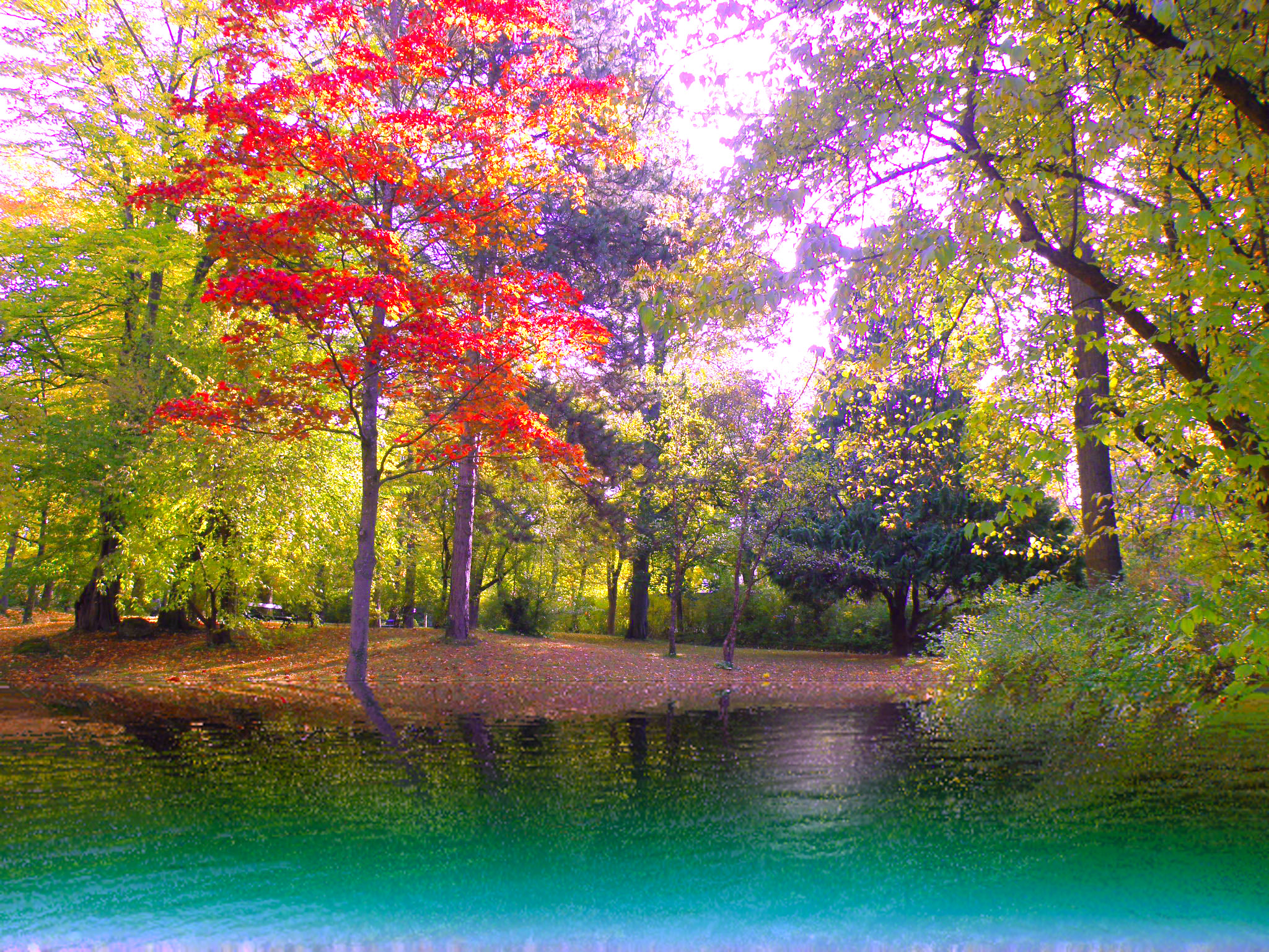 Солнечный день.