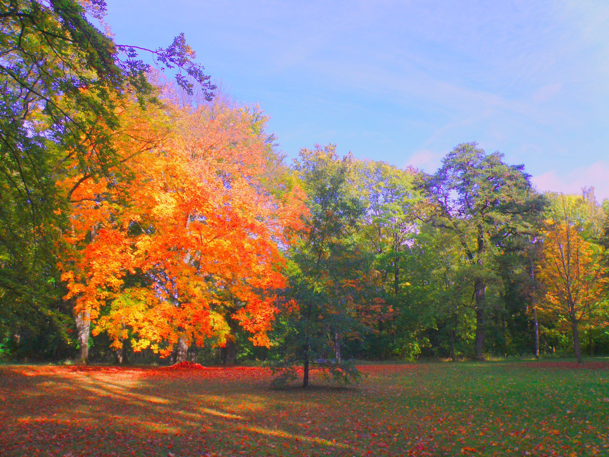 Солнечный день.