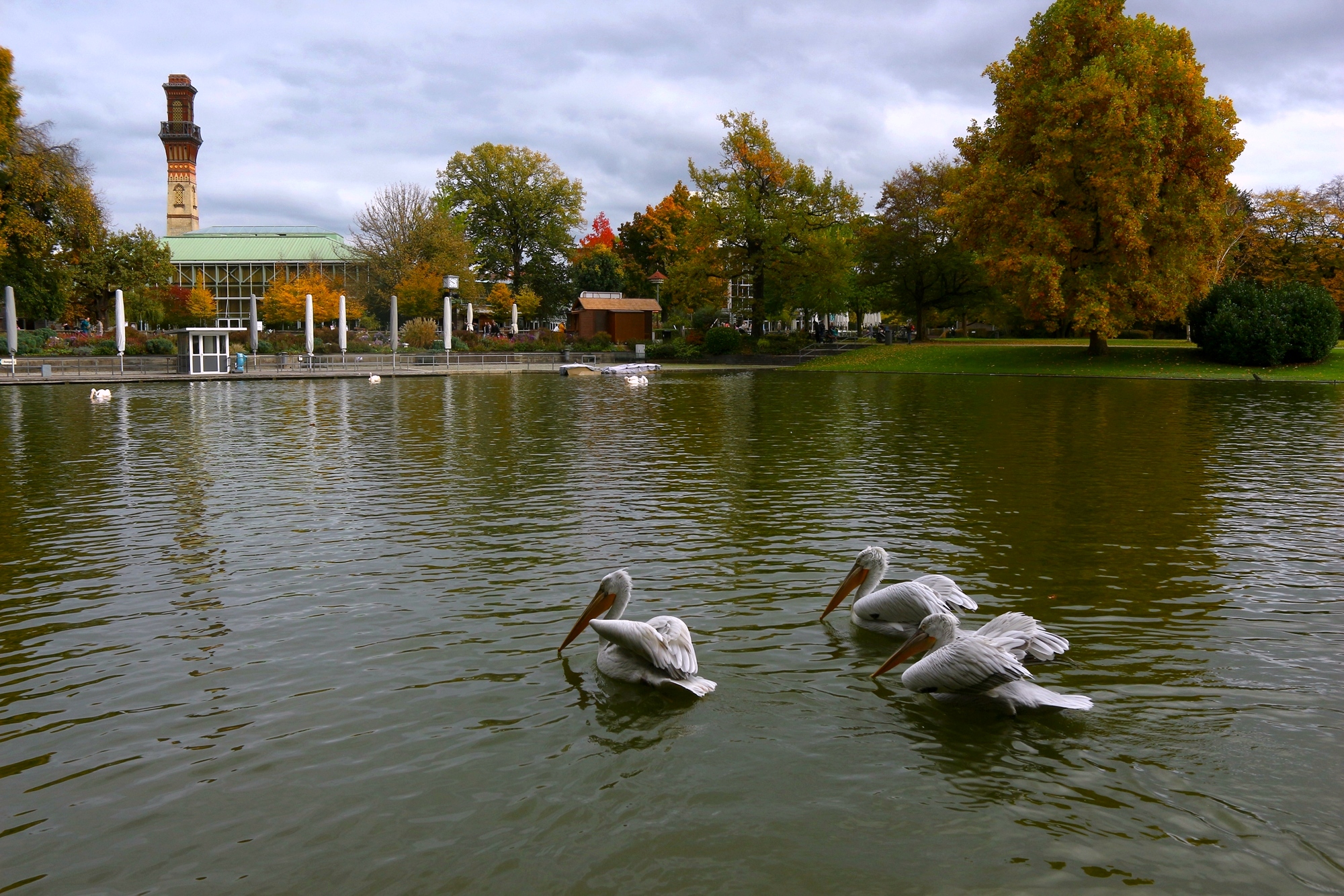 Пасмурный октябрь