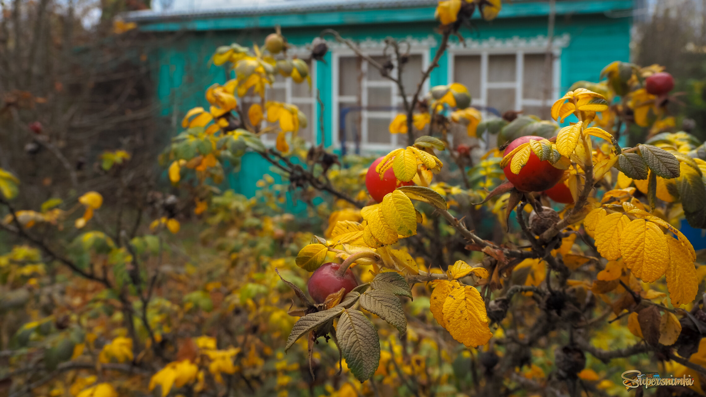 Осенний Сюжет