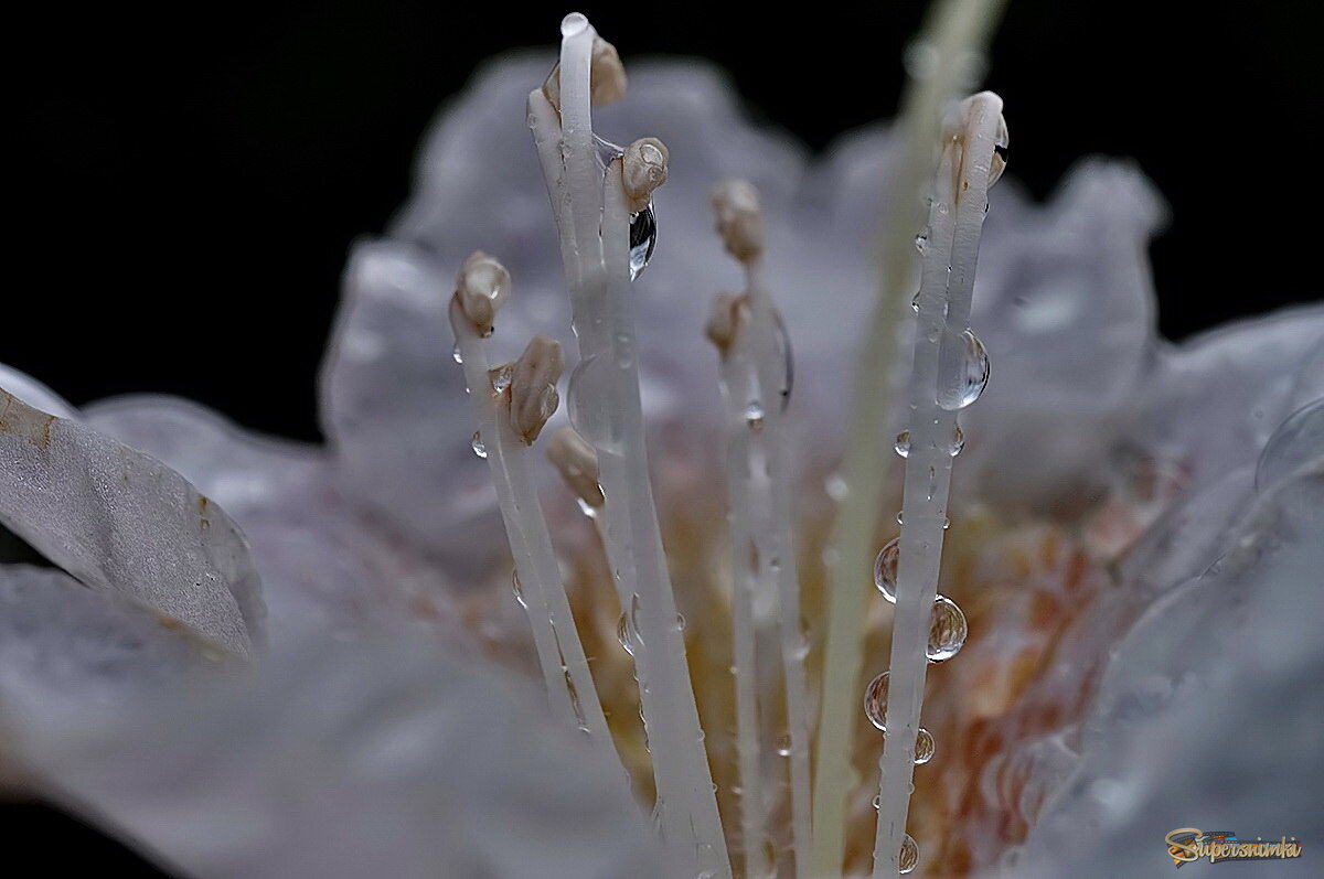 6904a11df8b957c34f594940