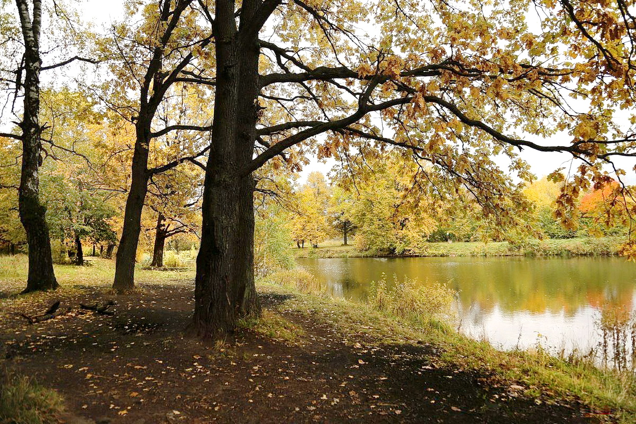 Осень, природа, Контрасты