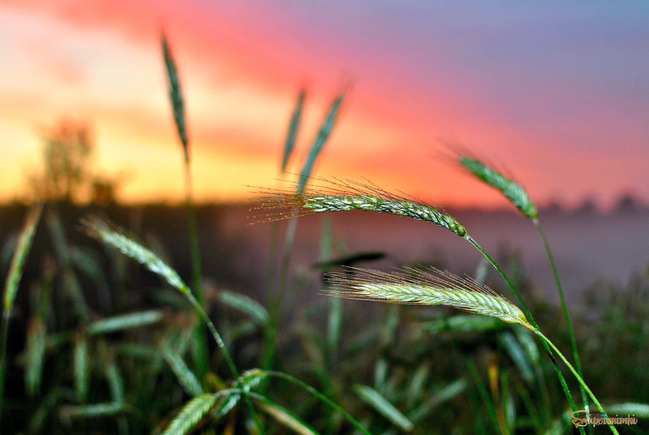 6905db3109159c4c7059493b