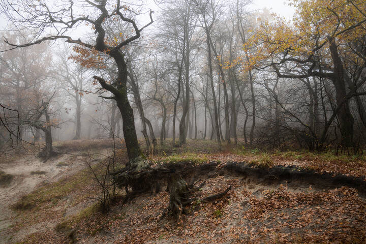 На краю