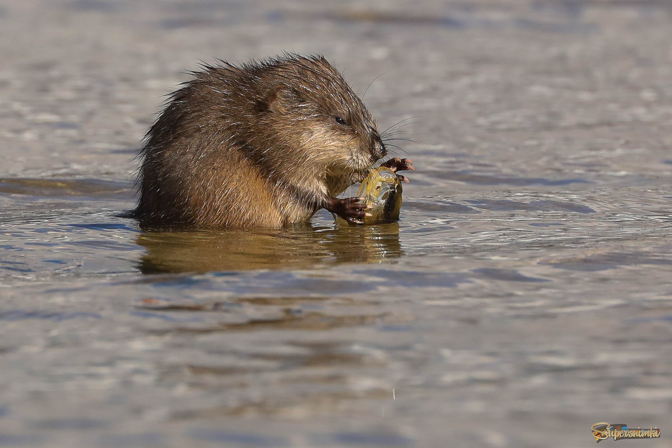 Наслаждение