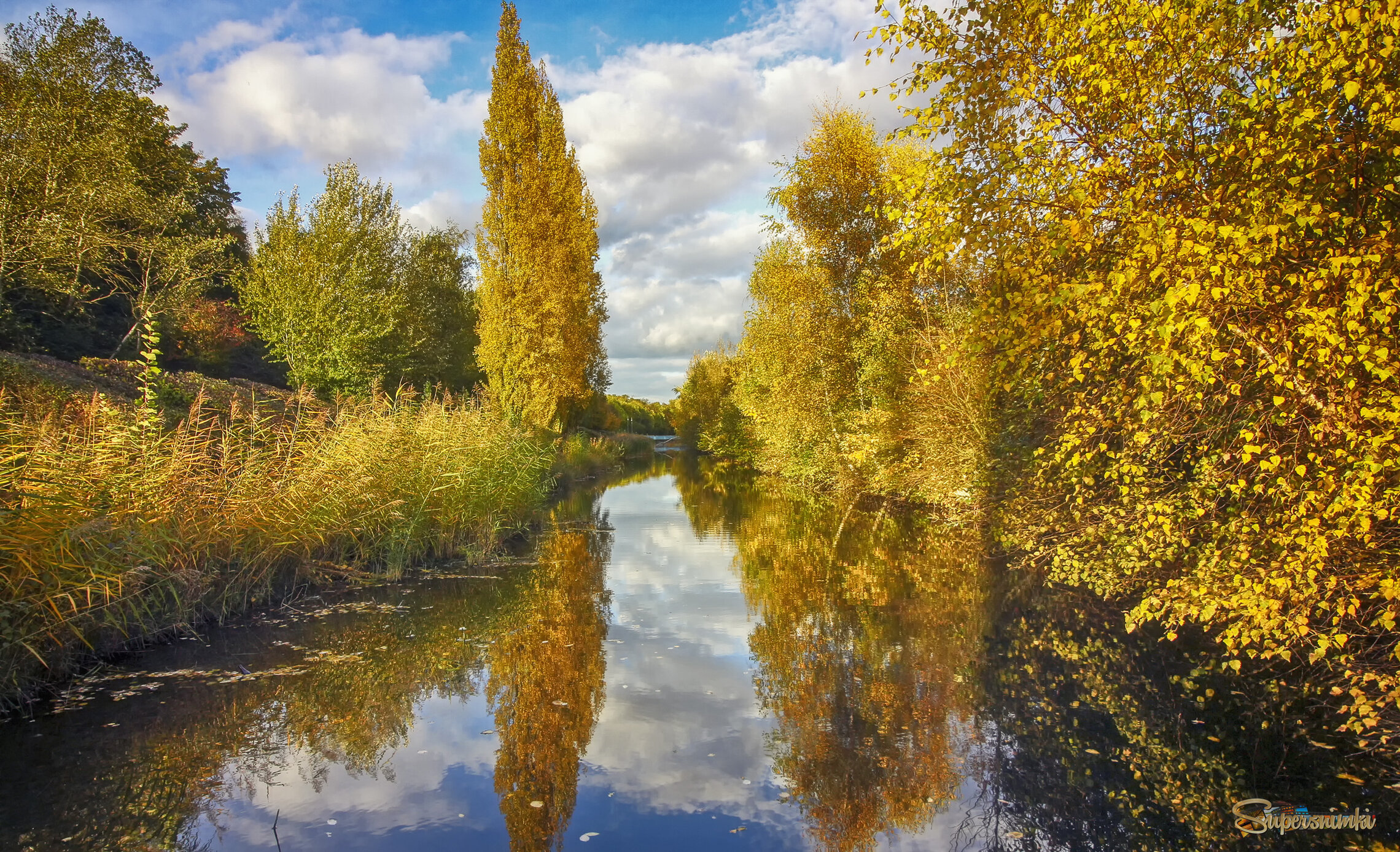 Золото канала