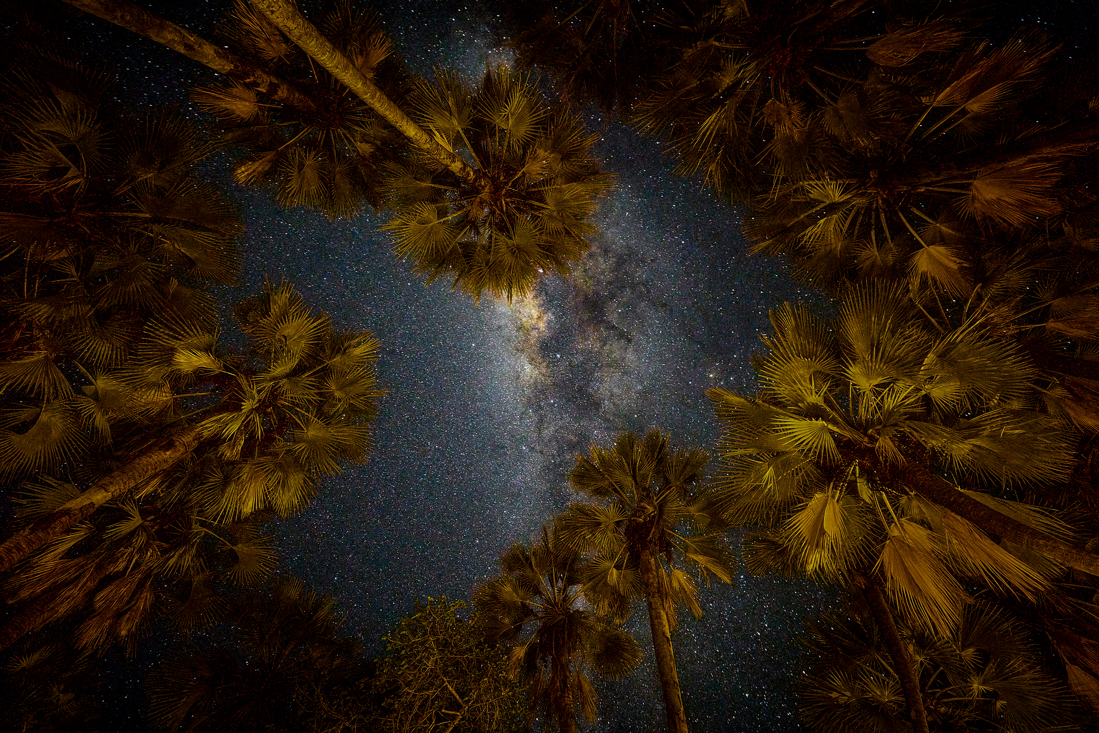 Намибийские истории...