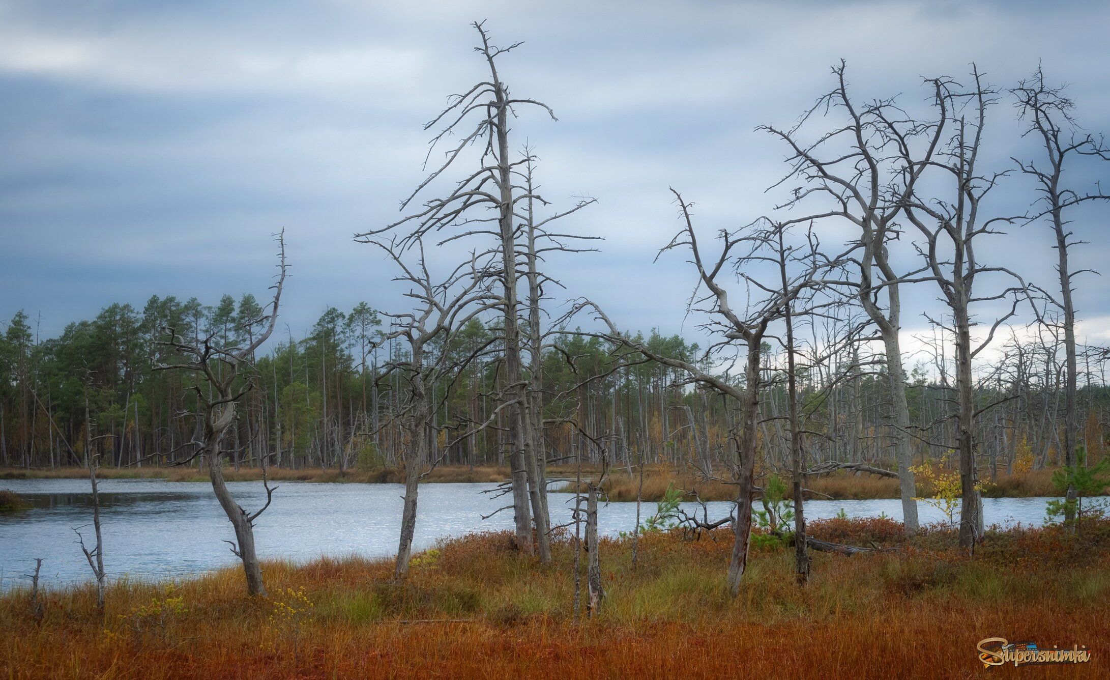 " танцы над водой "
