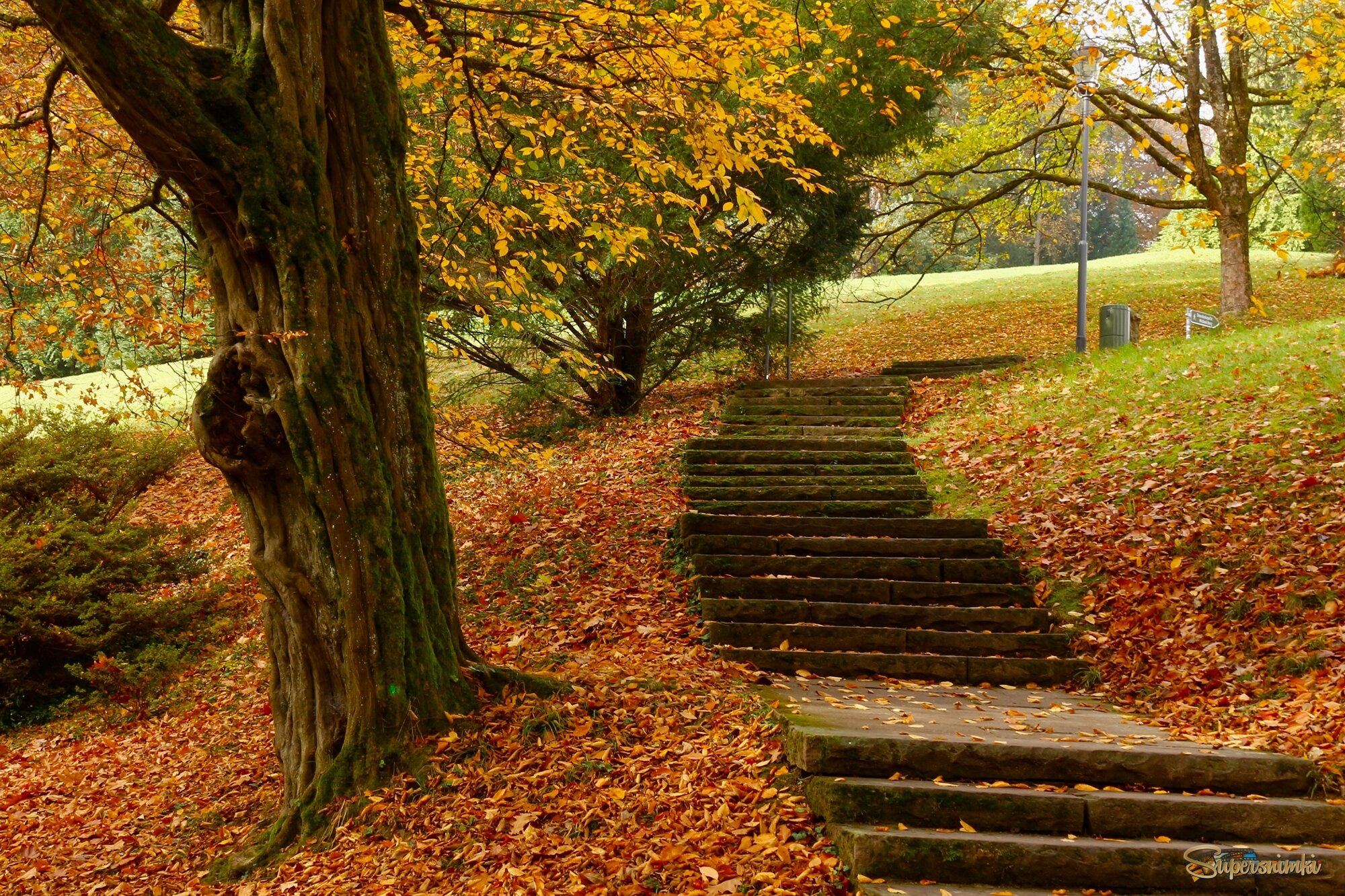 Ступеньки в осень