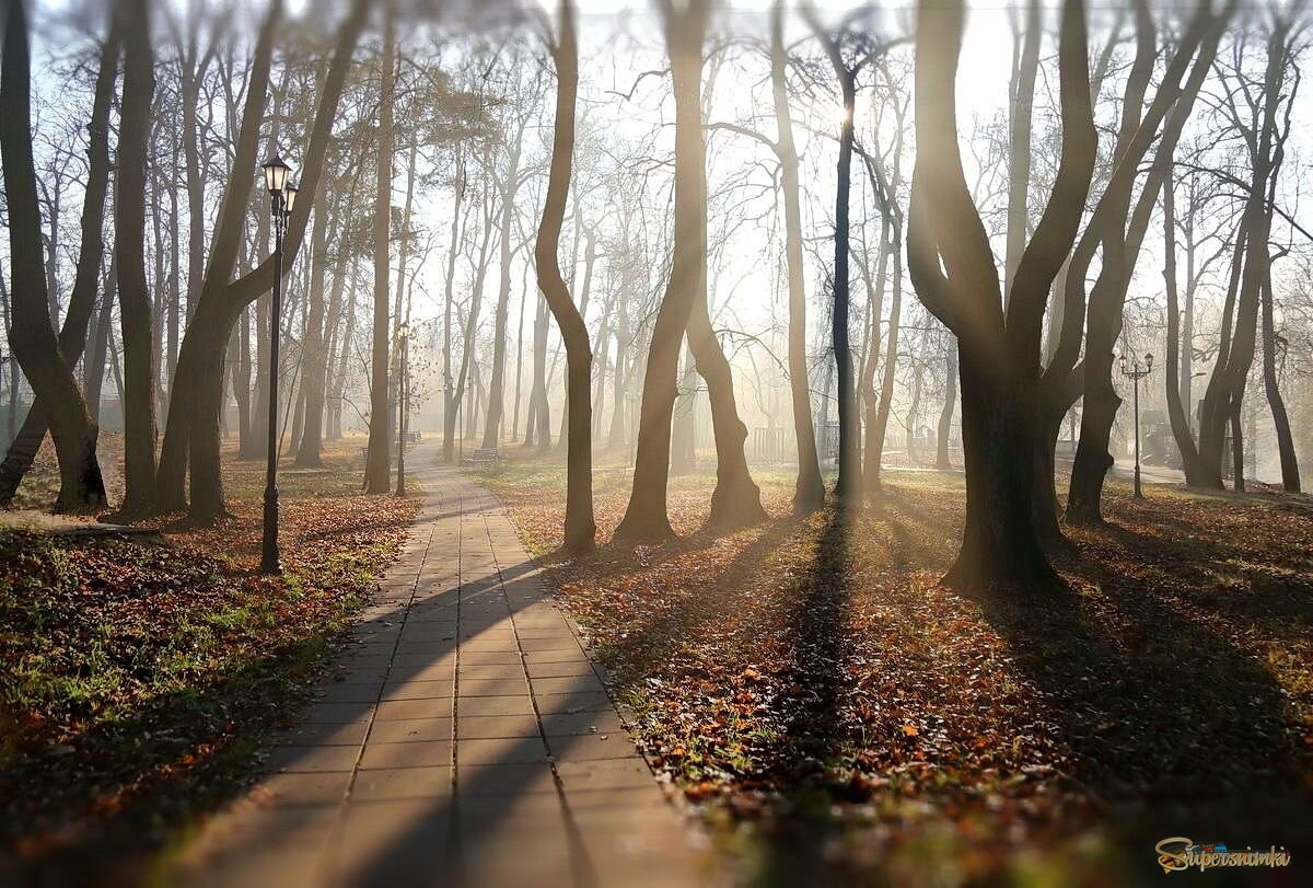 Туманные мысли