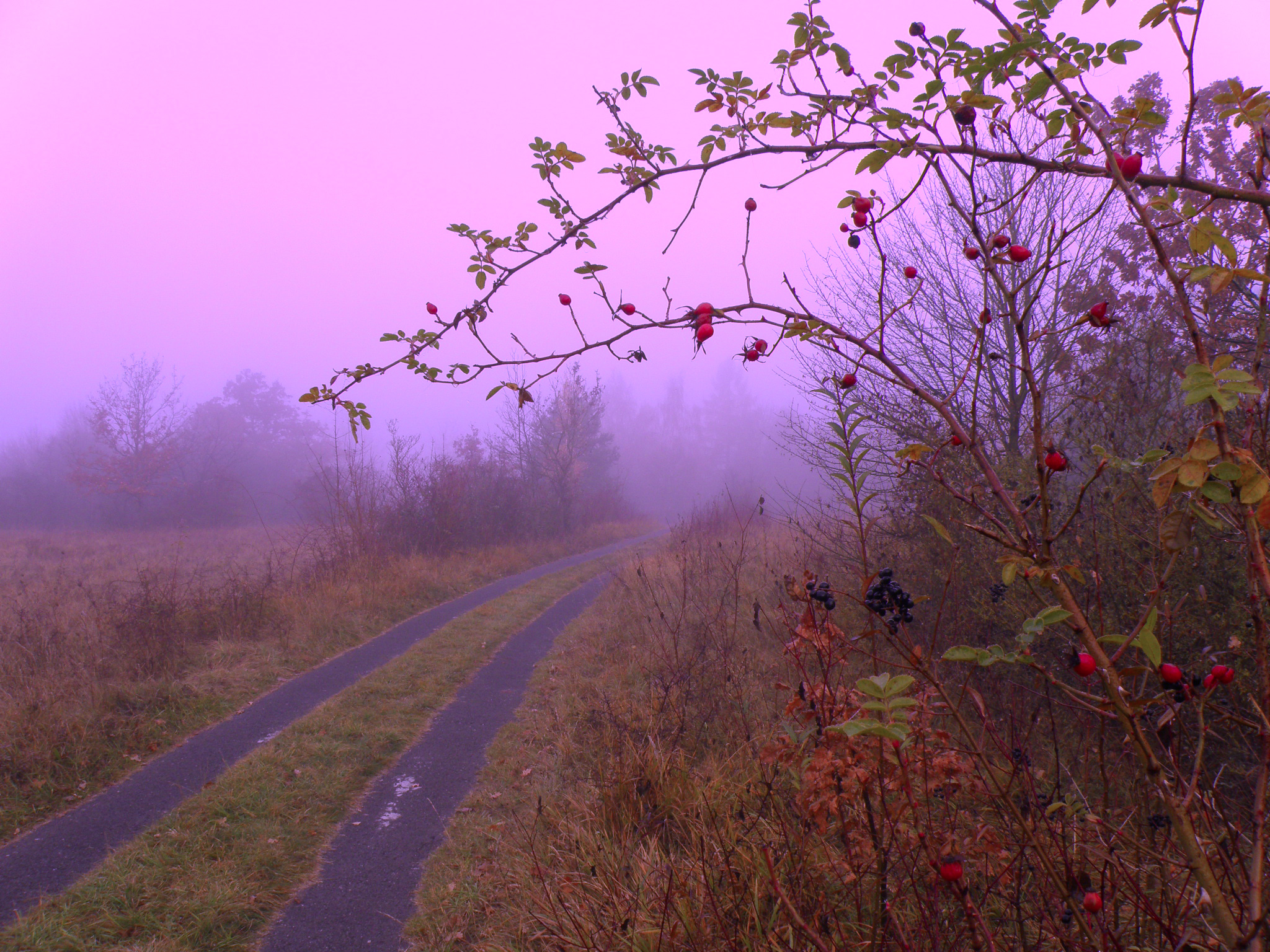 Цветные туманы.