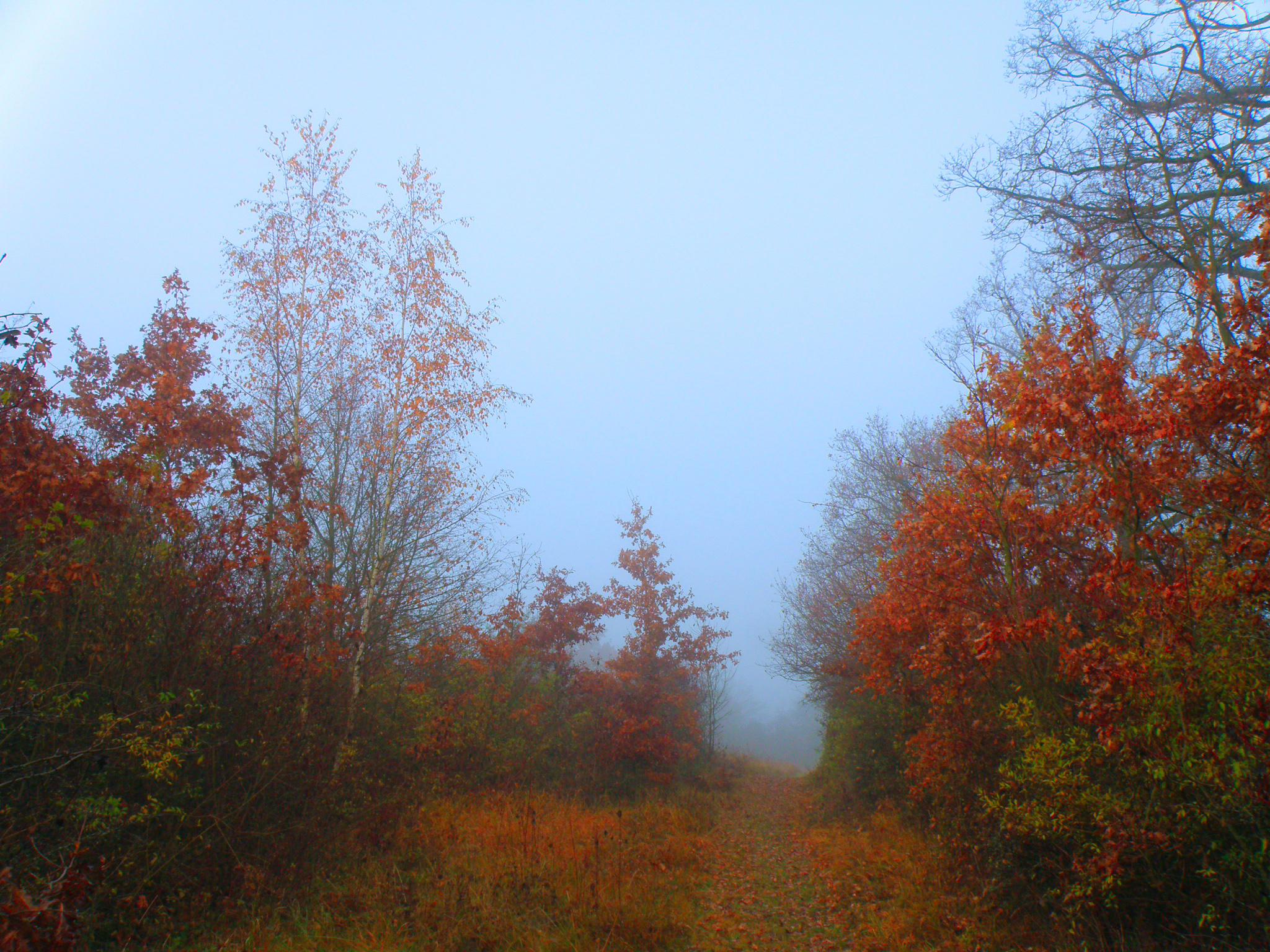 Цветные туманы.