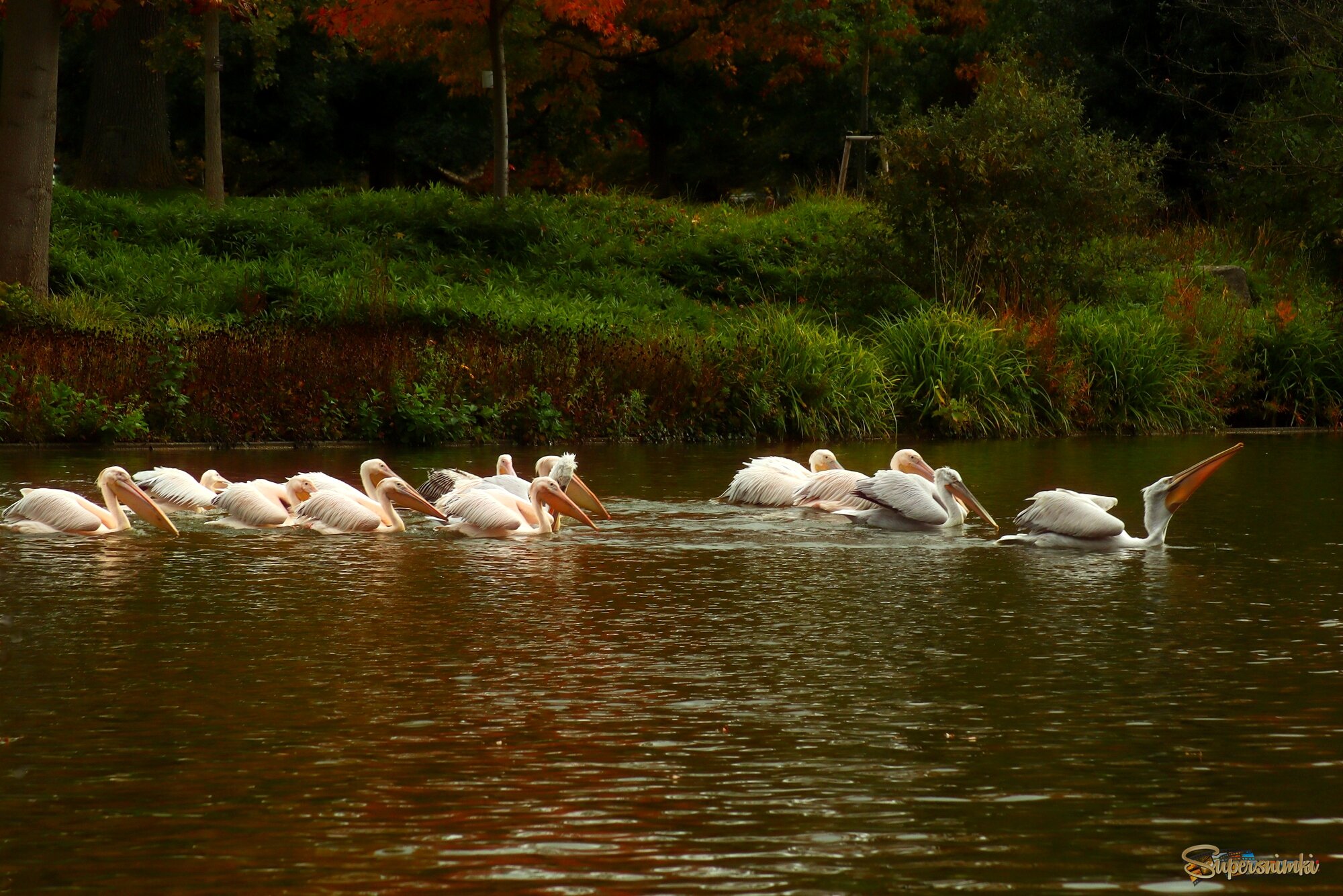  На прогулке